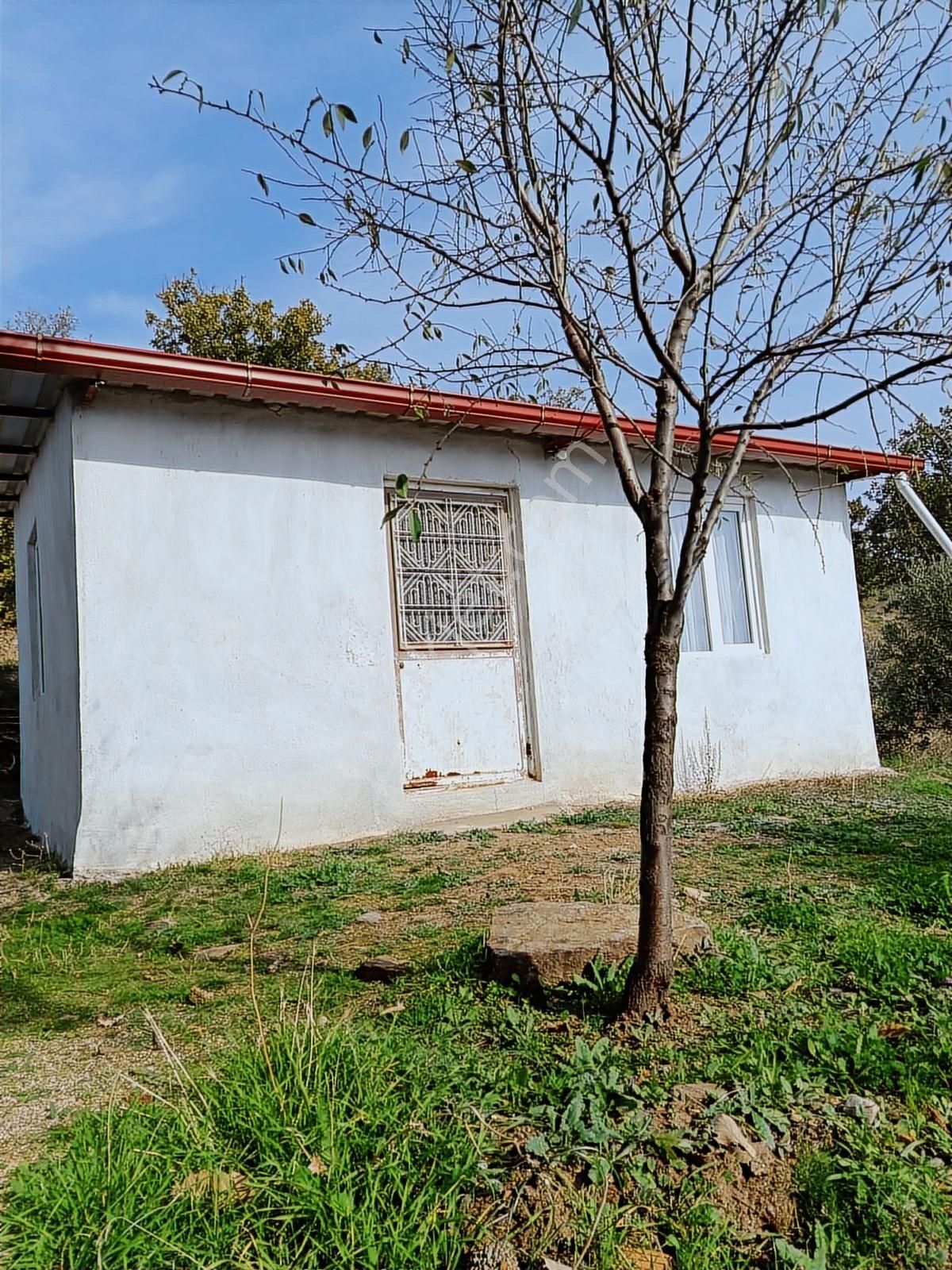 Bekirler Mahallesinde İçinde Evi Olan Bahçemiz Satılıktır. - Görsel 4