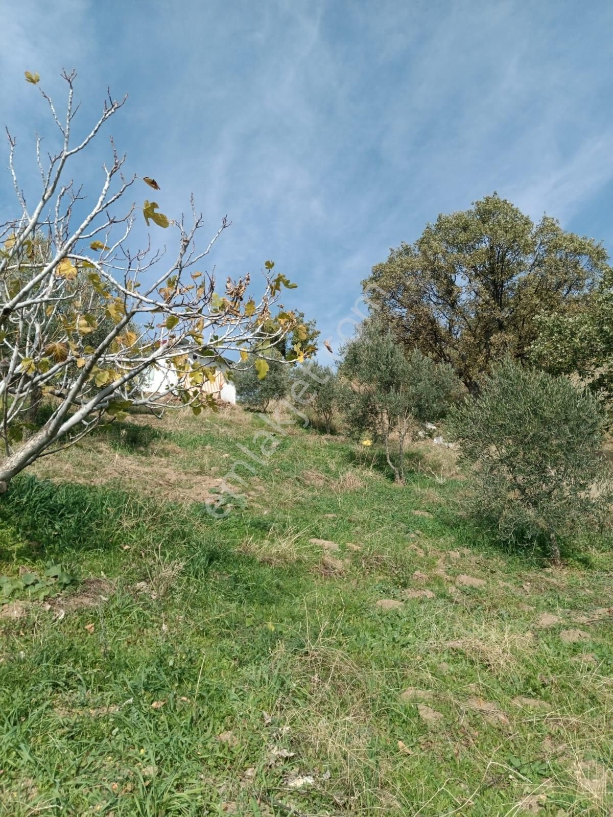 Bekirler Mahallesinde İçinde Evi Olan Bahçemiz Satılıktır. - Görsel 31