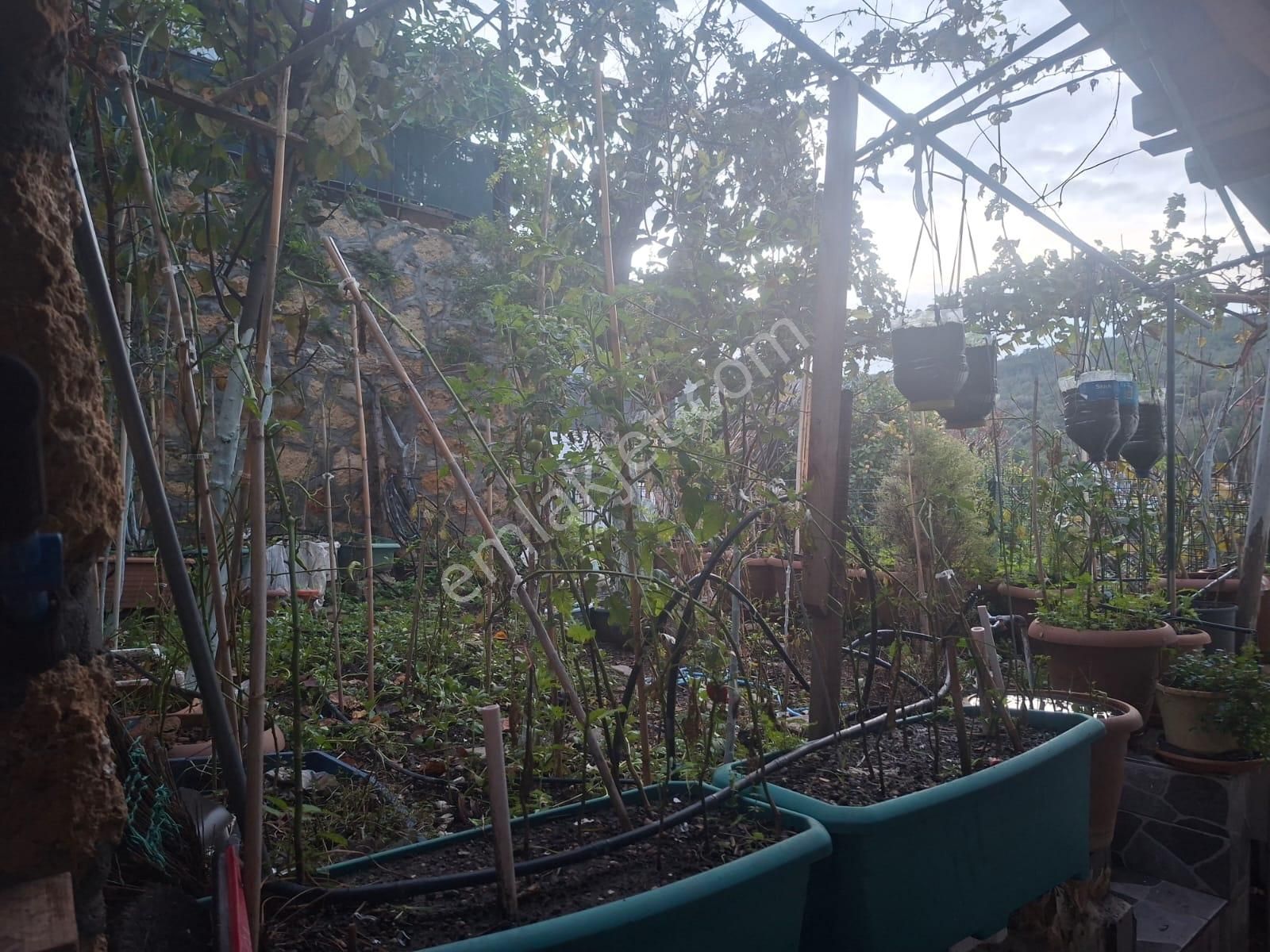 Foça Cumhuriyet Mahallesinde Site İçerisinde 2+1 Satılık Villa - Görsel 22