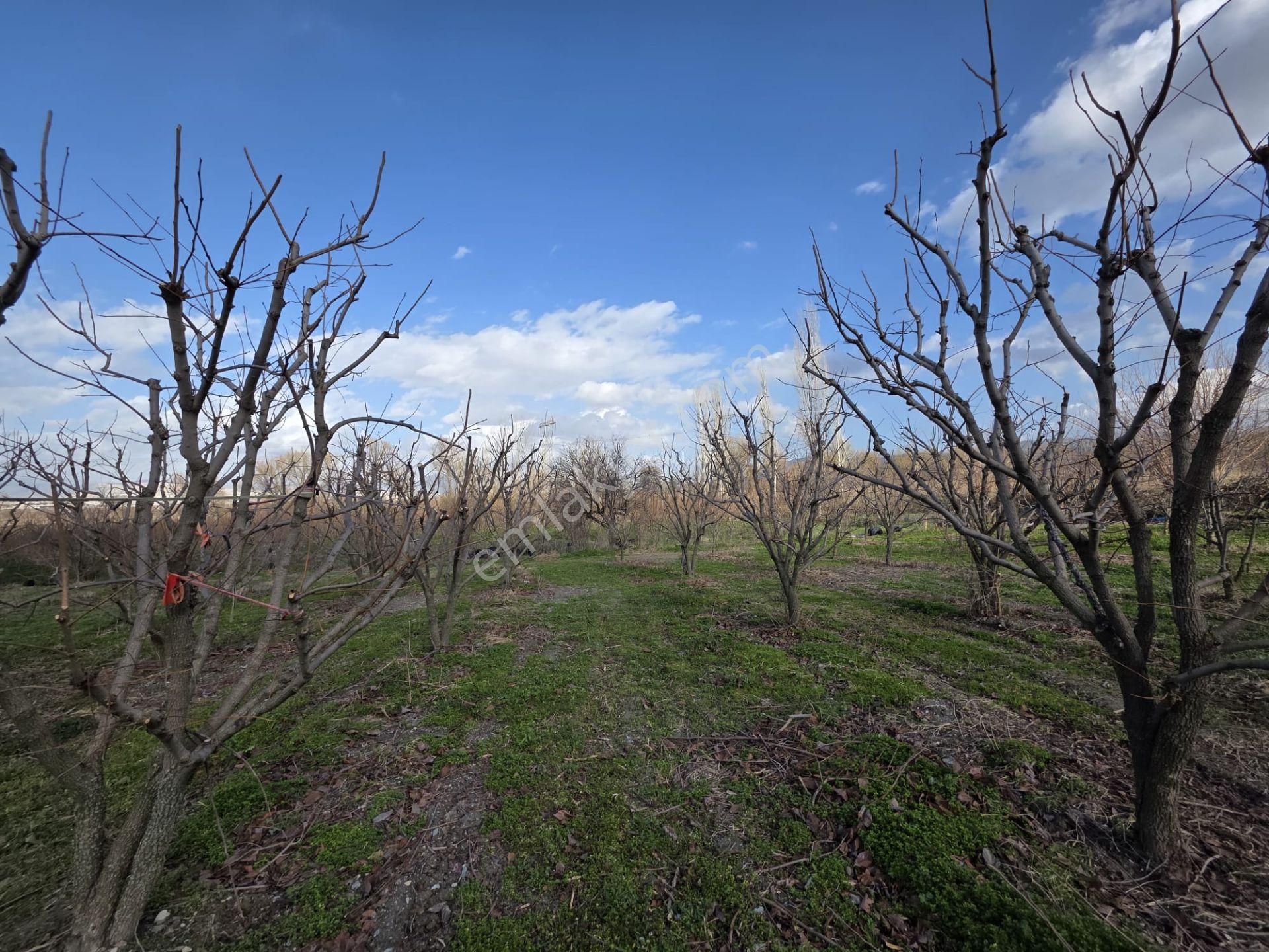 Honaz Hürriyet Mahallesi’nde Yola Cepheli 9.100 M² Satılık Bahçe # Tarla!