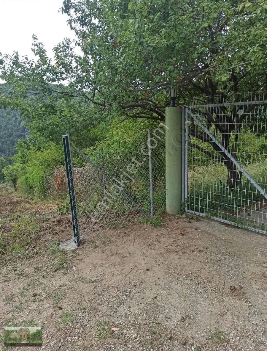 Derekizikta Satılık Hobi Bahçeleri - Görsel 4