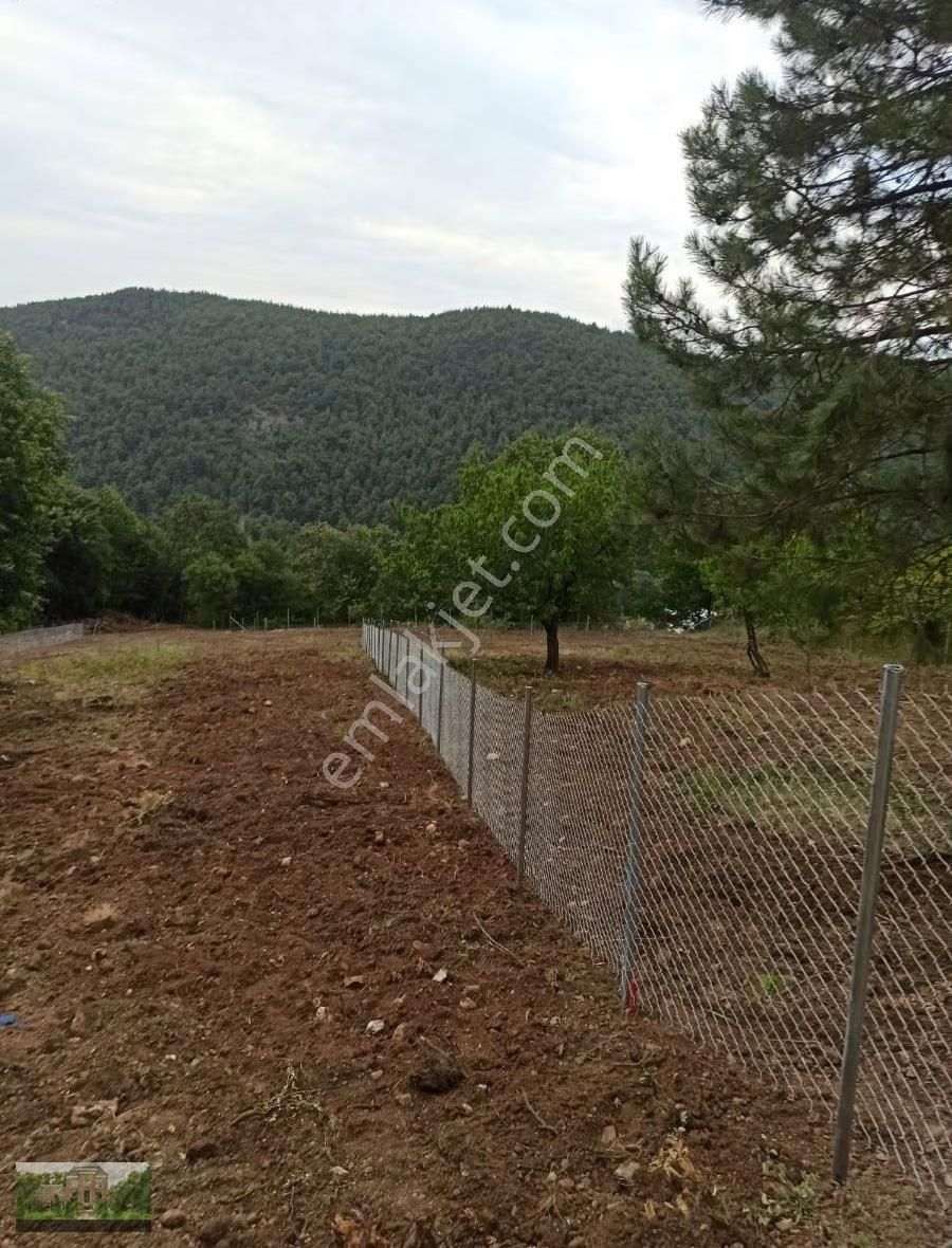 Derekizikta Satılık Hobi Bahçeleri - Görsel 28