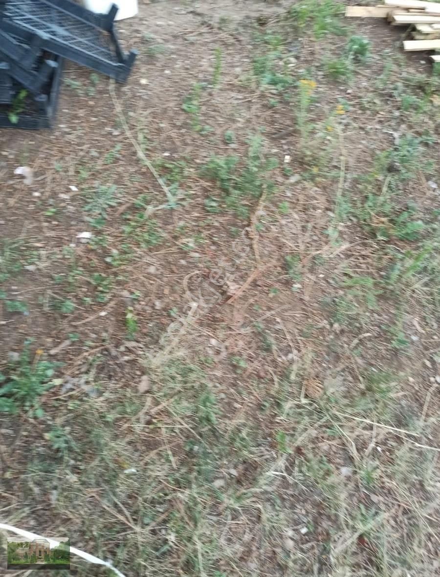 Derekizikta Satılık Hobi Bahçeleri - Görsel 14