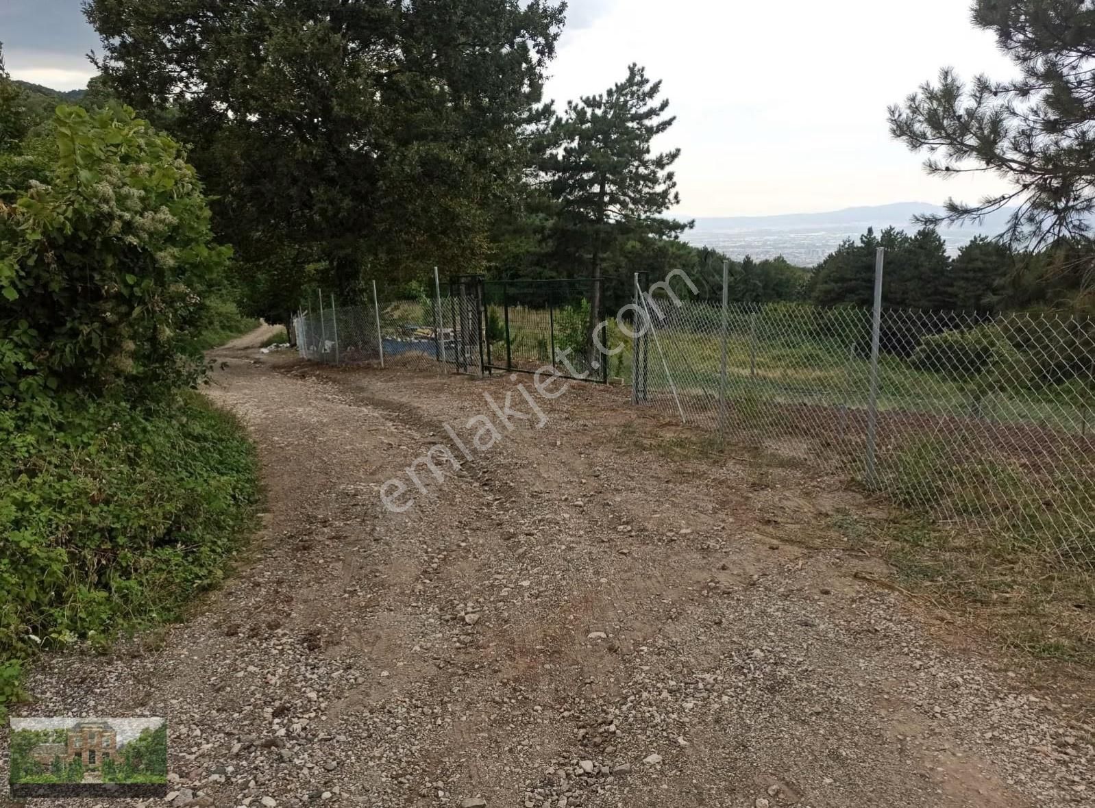 Derekizikta Satılık Hobi Bahçeleri - Görsel 29