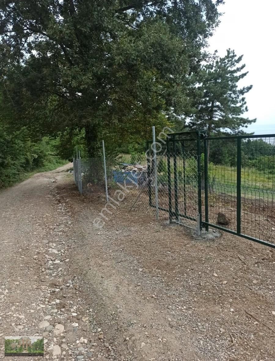 Derekizikta Satılık Hobi Bahçeleri - Görsel 11