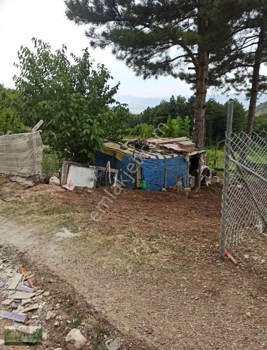 Derekizikta Satılık Hobi Bahçeleri - Görsel 9