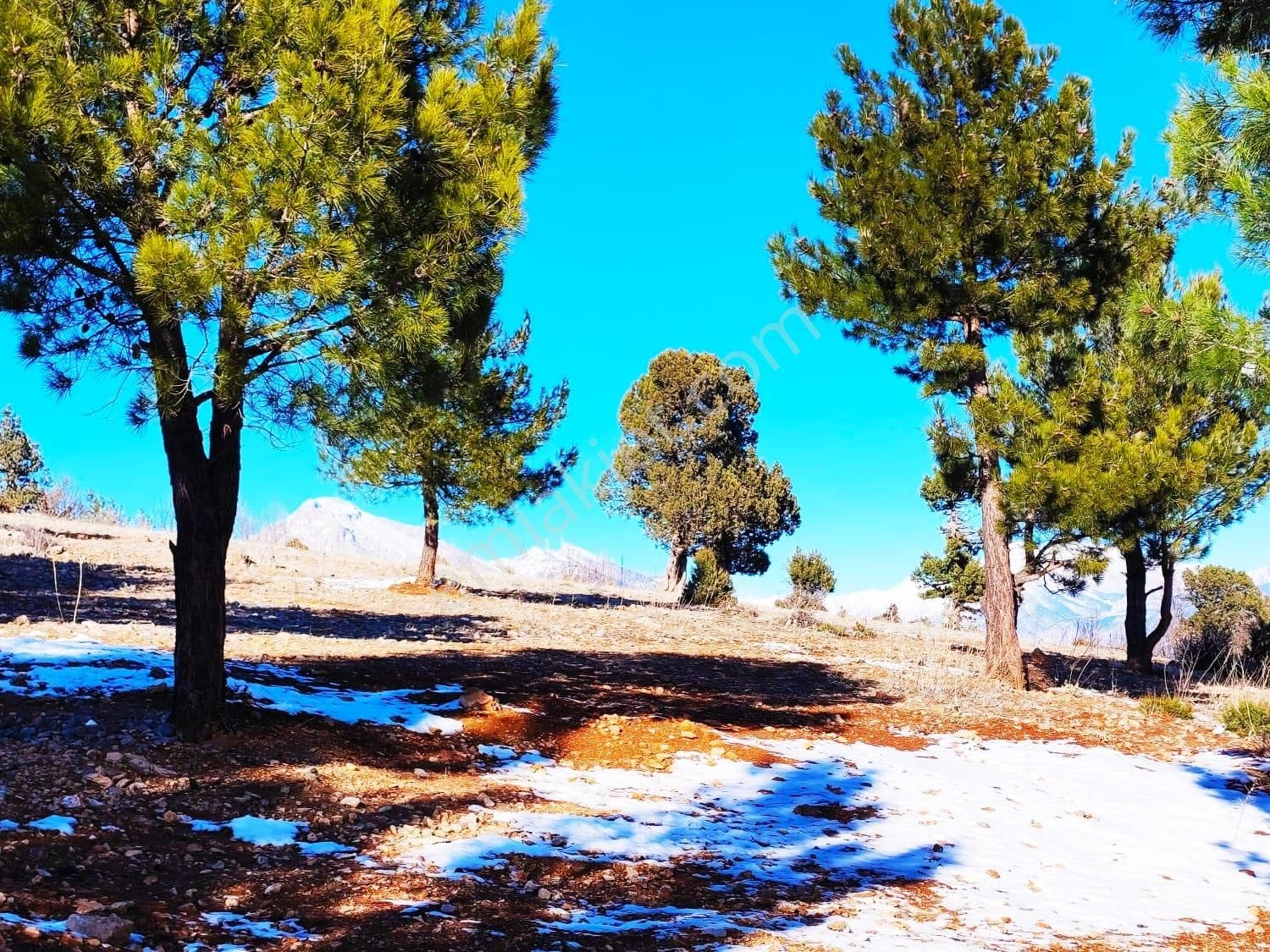 Kar Emlaktan Yeni Konacıkta Yüksek Konumlu 365 M2 Satılık Arsa - Görsel 11