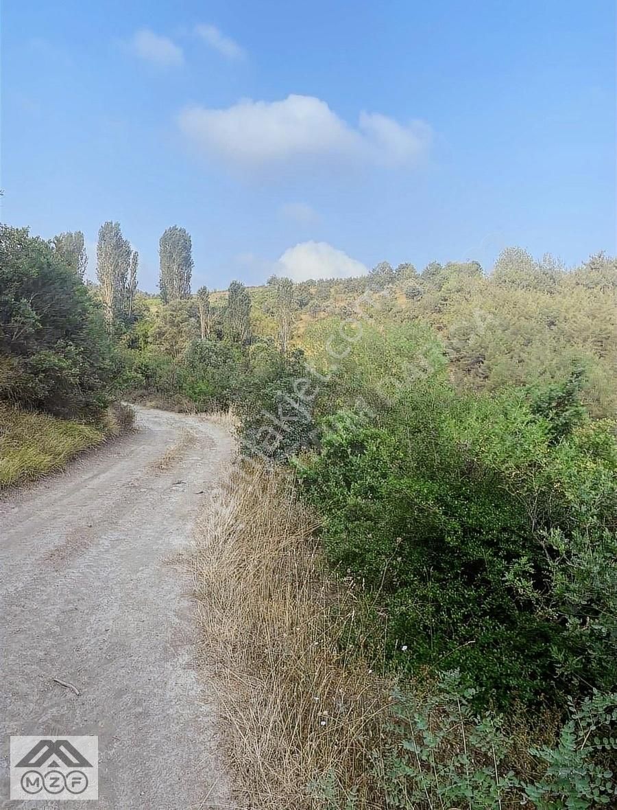 Geyve Umurbey'de 1.238m2 Tarla