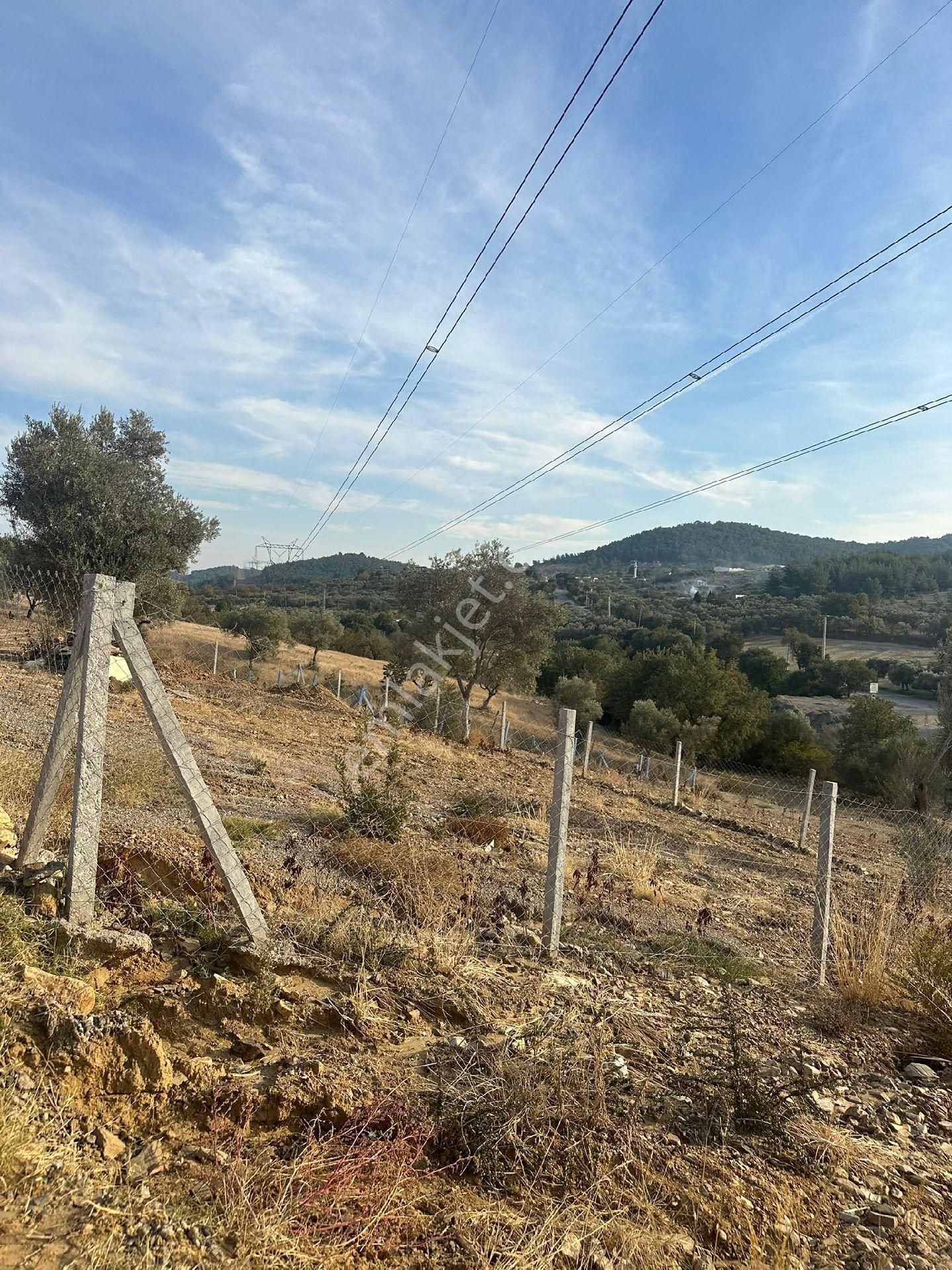Torbalı Çamlıca Köyünde Efsane - Görsel 9
