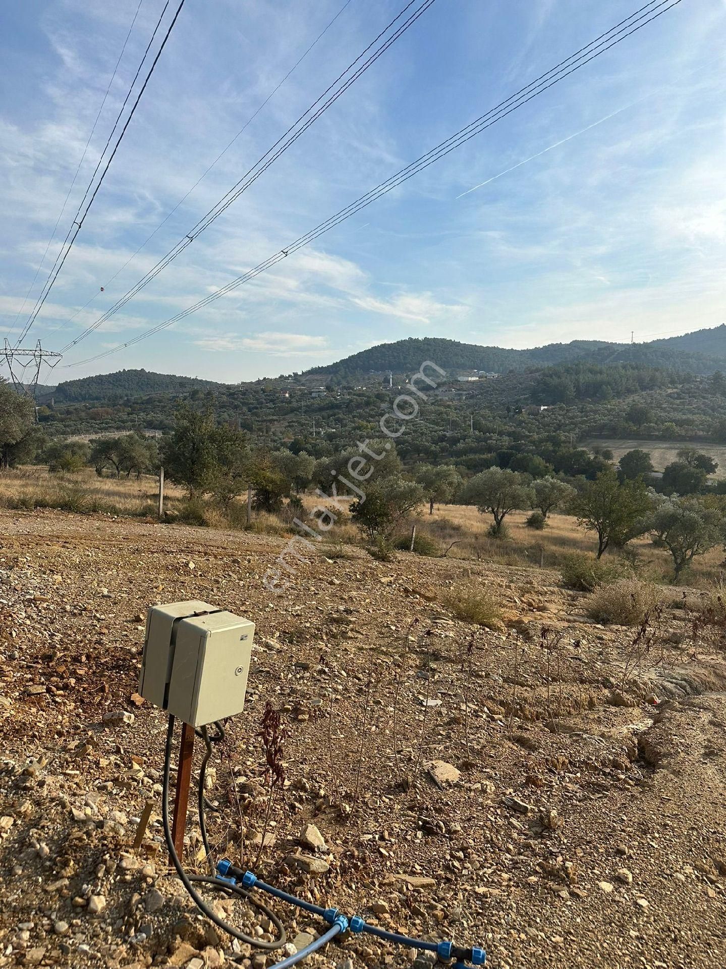 Torbalı Çamlıca Köyünde Efsane - Görsel 3