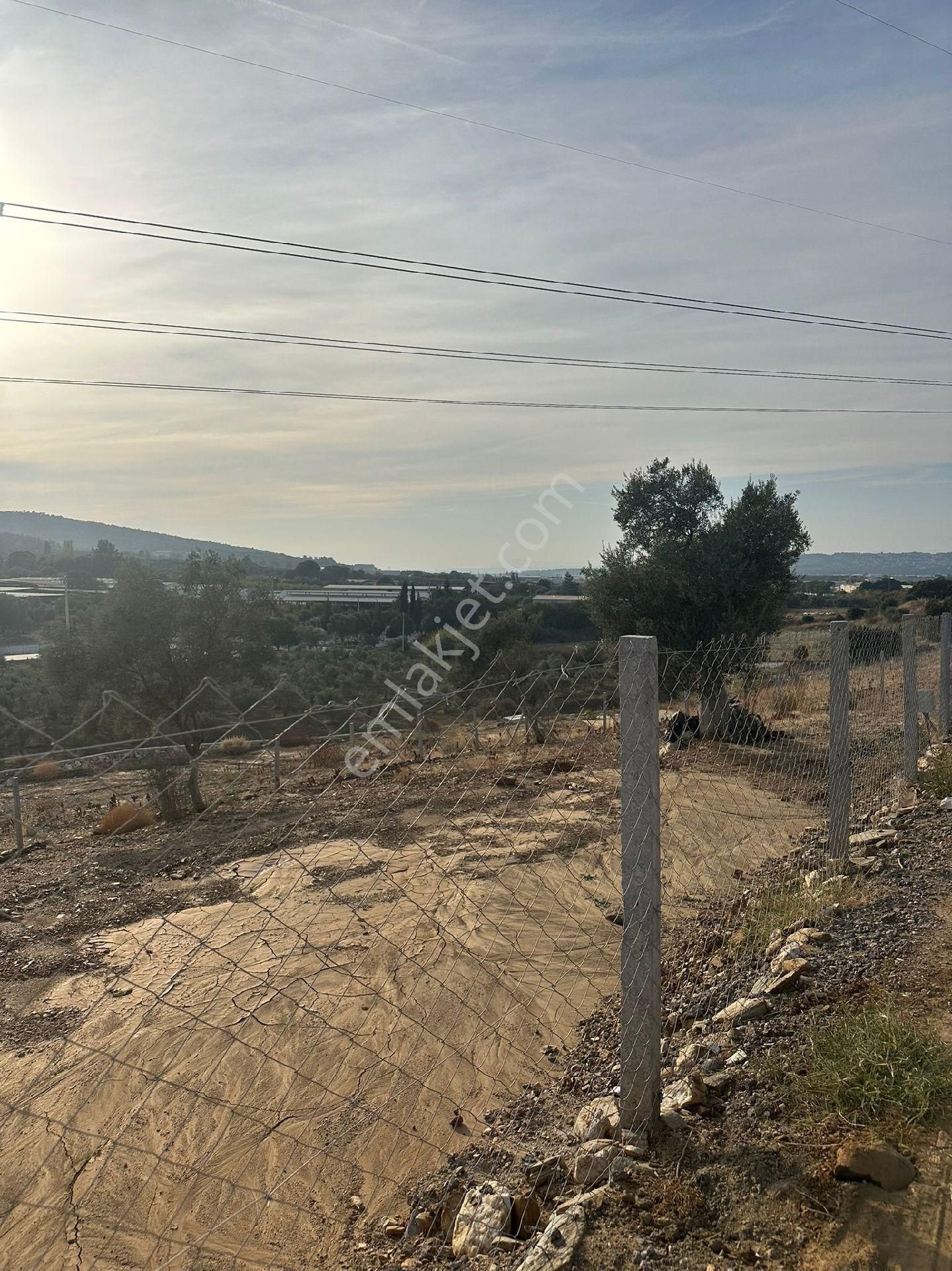 Torbalı Çamlıca Köyünde Efsane - Görsel 4