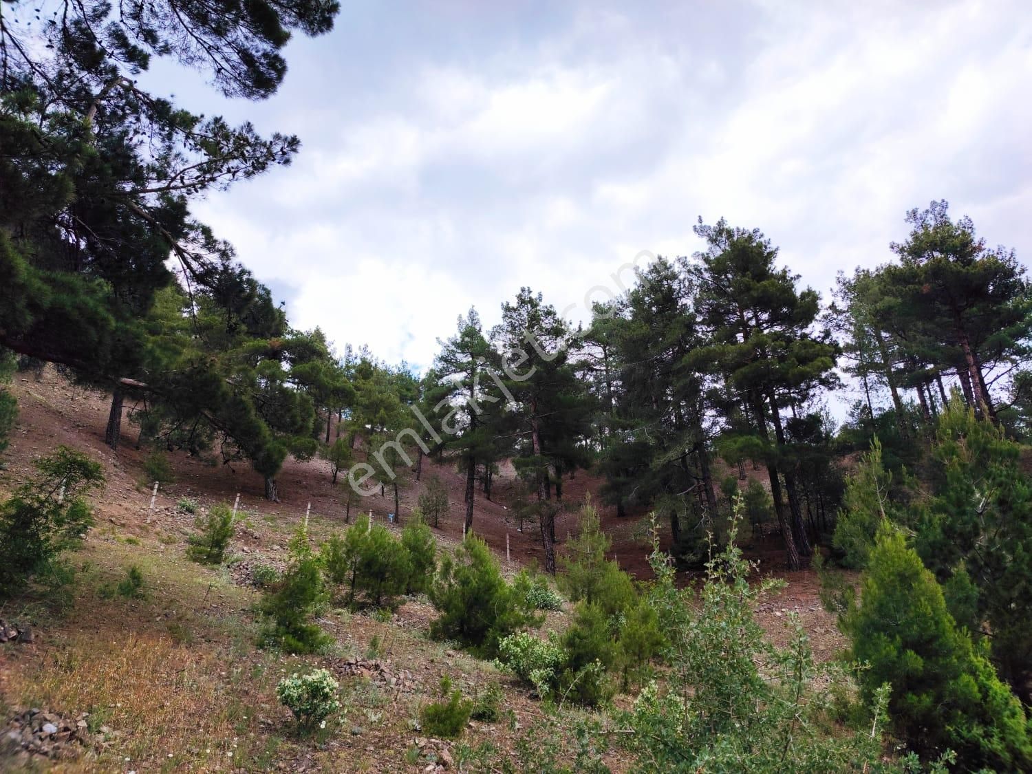 Kar Emlaktan İstiklal Mahallesinde 5 Kata İmarlı 400 M2 Satılık Arsa - Görsel 25