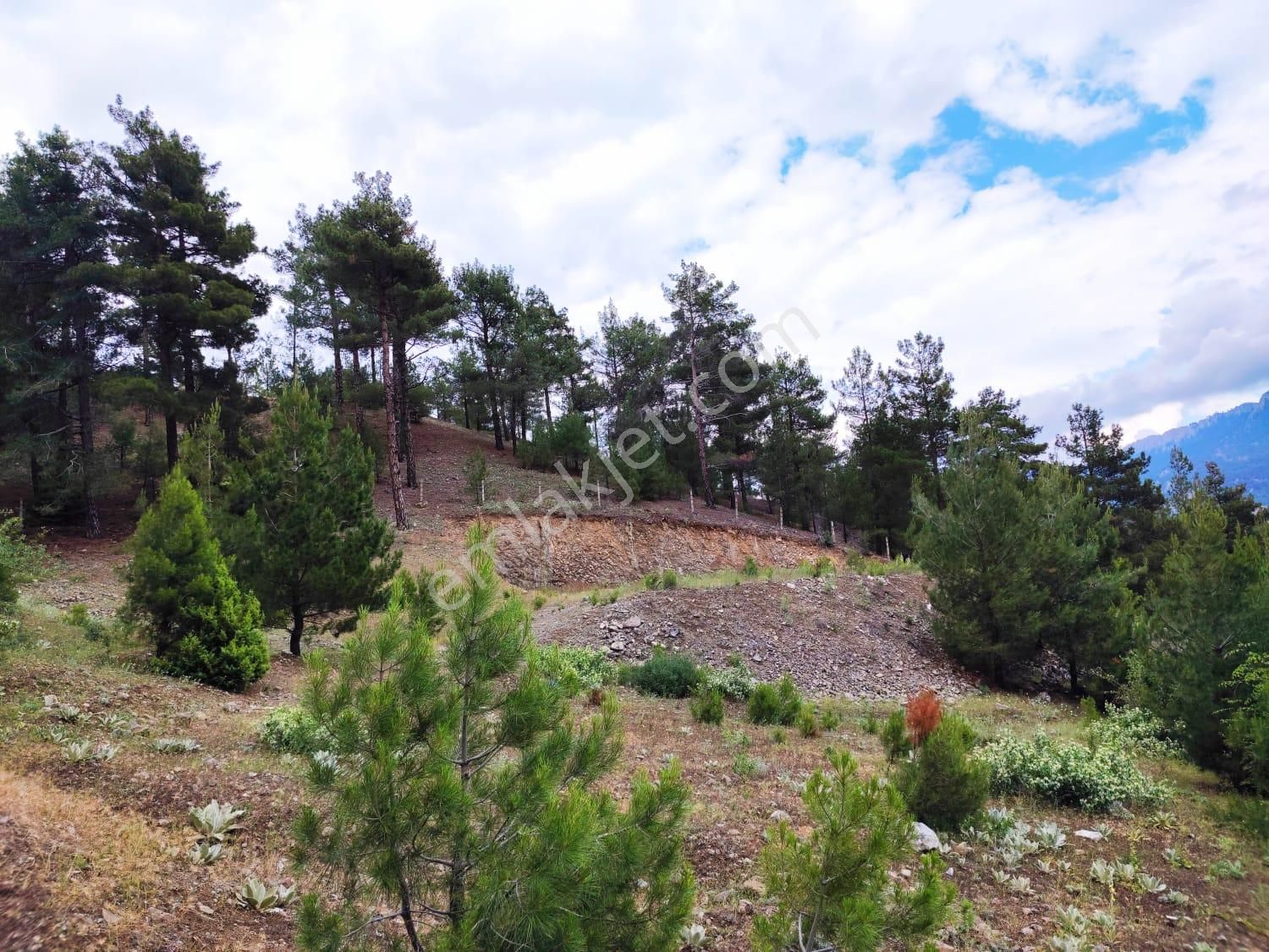 Kar Emlaktan İstiklal Mahallesinde 5 Kata İmarlı 400 M2 Satılık Arsa - Görsel 21