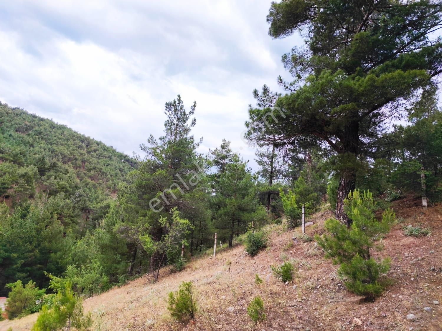 Kar Emlaktan İstiklal Mahallesinde 5 Kata İmarlı 400 M2 Satılık Arsa - Görsel 28