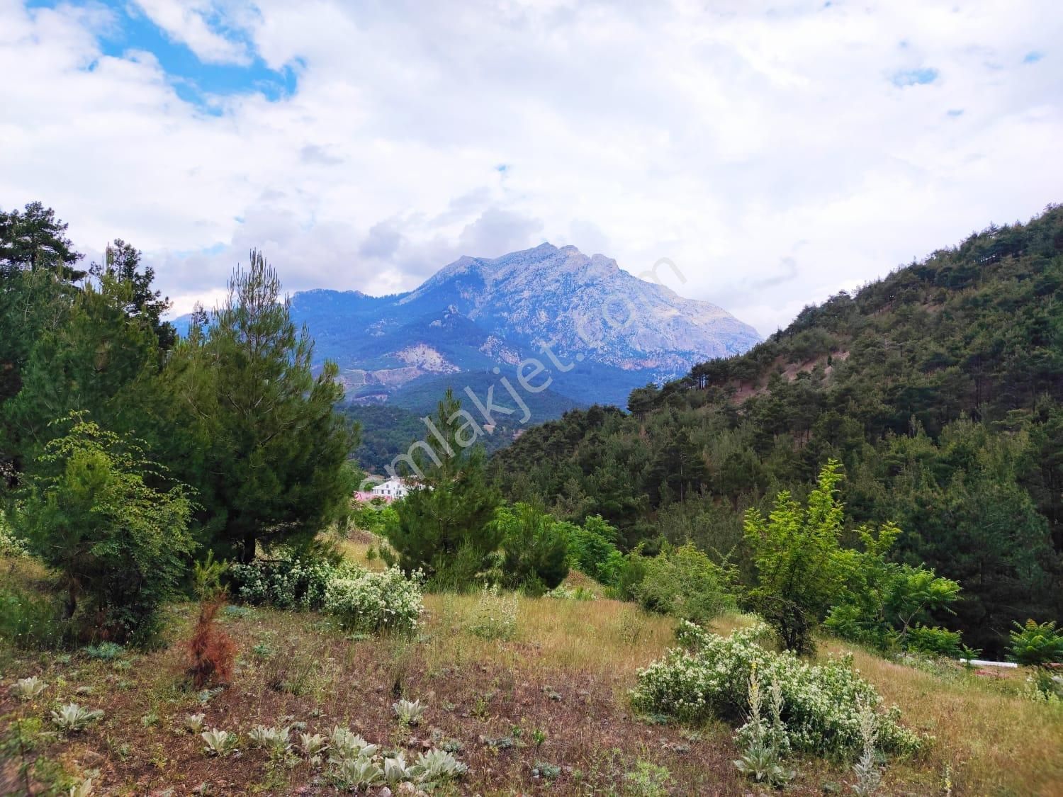 Kar Emlaktan İstiklal Mahallesinde 5 Kata İmarlı 400 M2 Satılık Arsa - Görsel 6