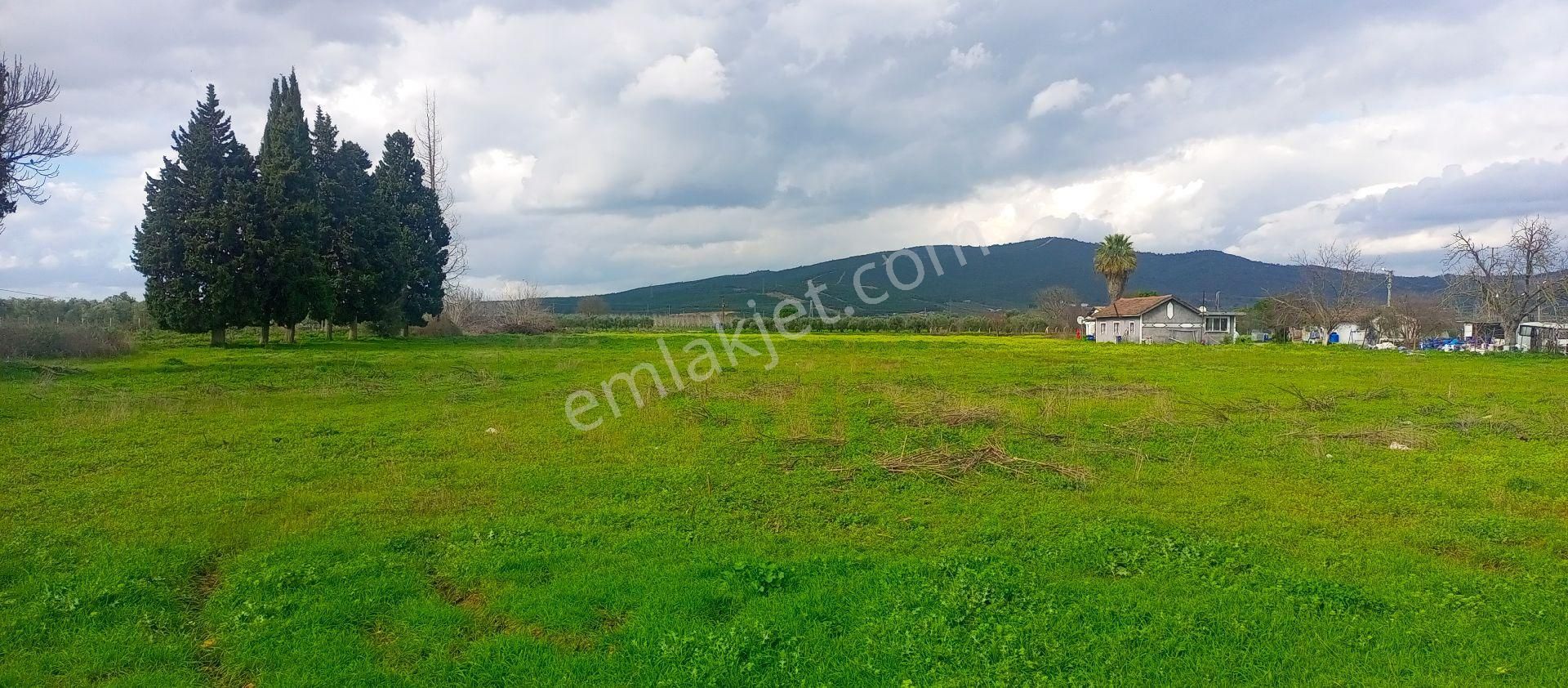 Torbalı Emlak'tan Yolu Olan Elektirkve Şebeke Suyu Yakın 5680m2 Arazimiz Satılıktır - Görsel 16
