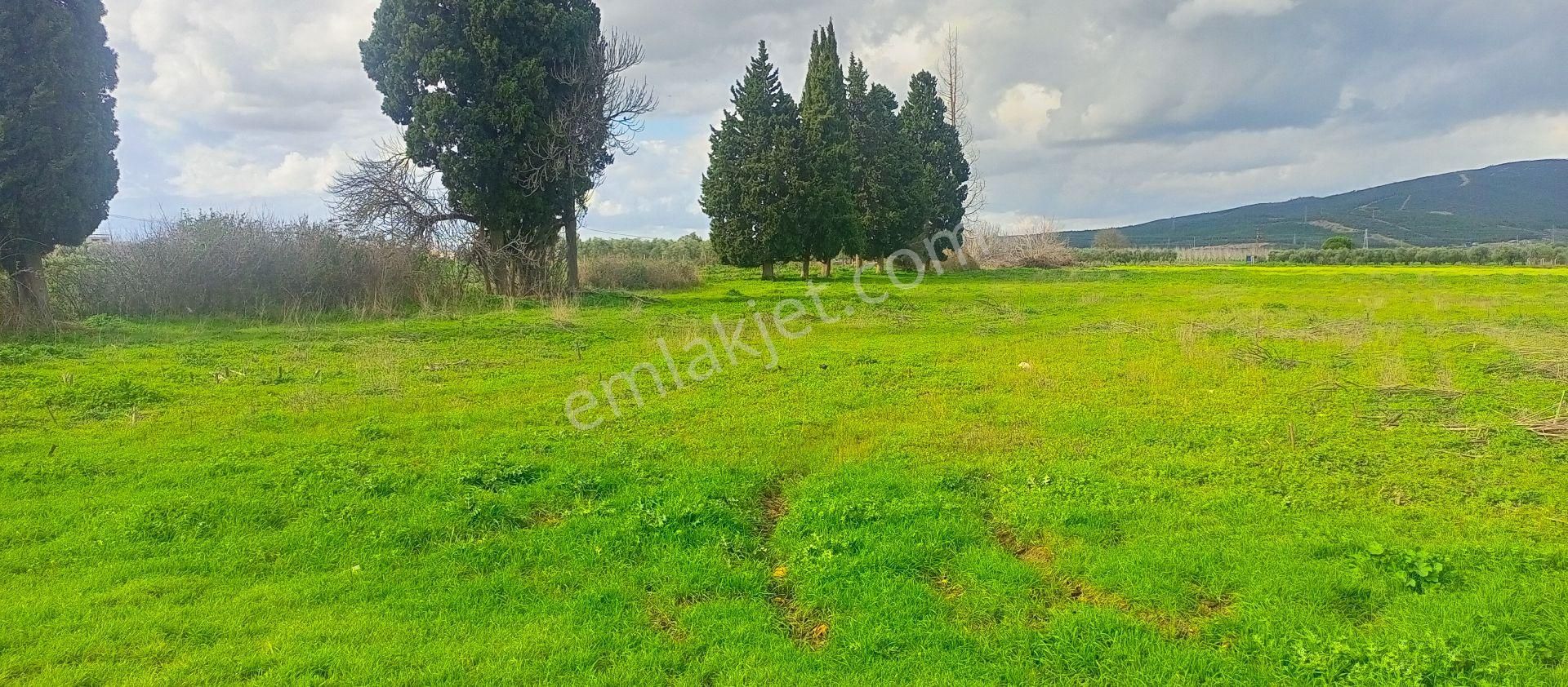 Torbalı Emlak'tan Yolu Olan Elektirkve Şebeke Suyu Yakın 5680m2 Arazimiz Satılıktır - Görsel 12