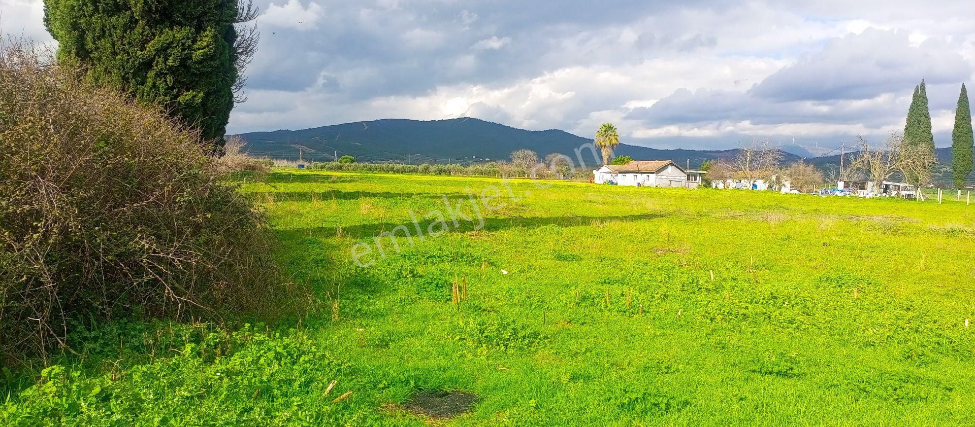 Torbalı Emlak'tan Yolu Olan Elektirkve Şebeke Suyu Yakın 5680m2 Arazimiz Satılıktır - Görsel 2