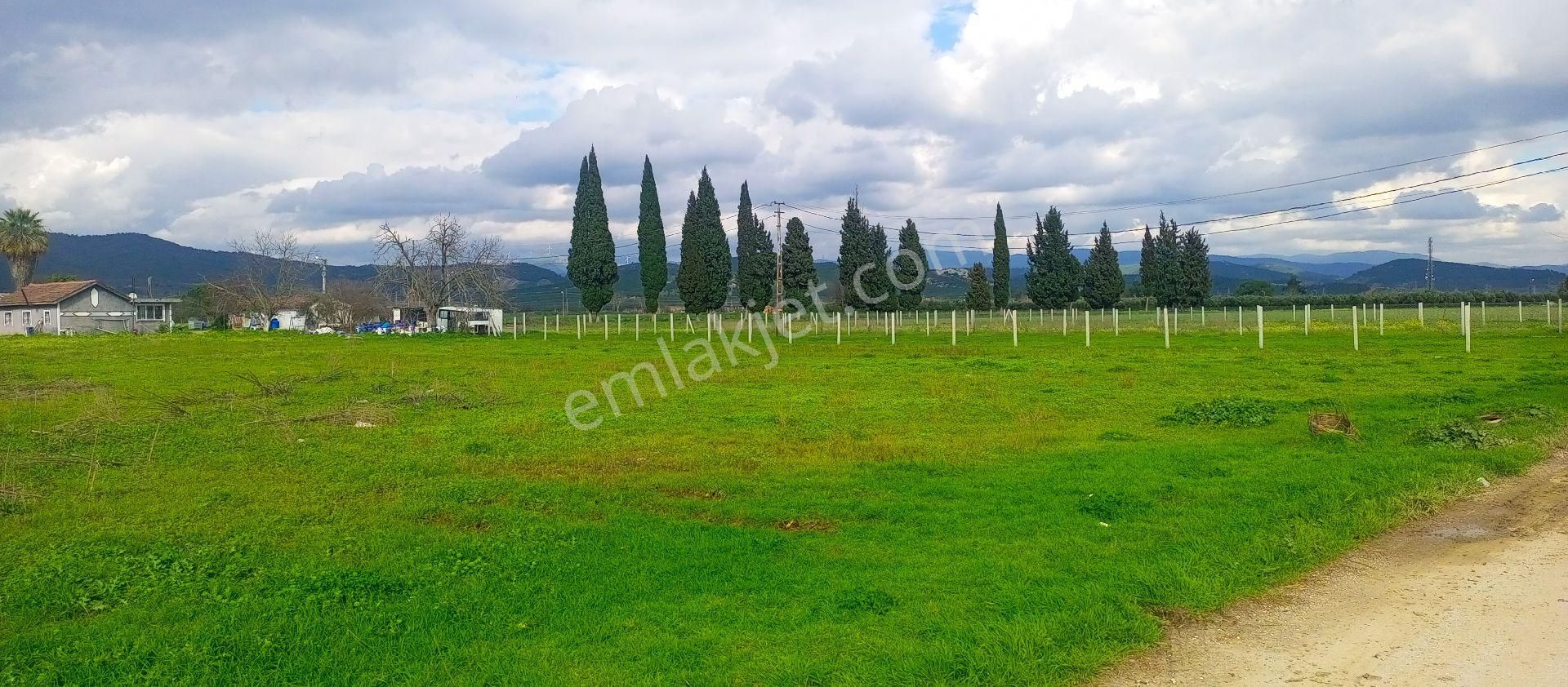 Torbalı Emlak'tan Yolu Olan Elektirkve Şebeke Suyu Yakın 5680m2 Arazimiz Satılıktır - Görsel 13