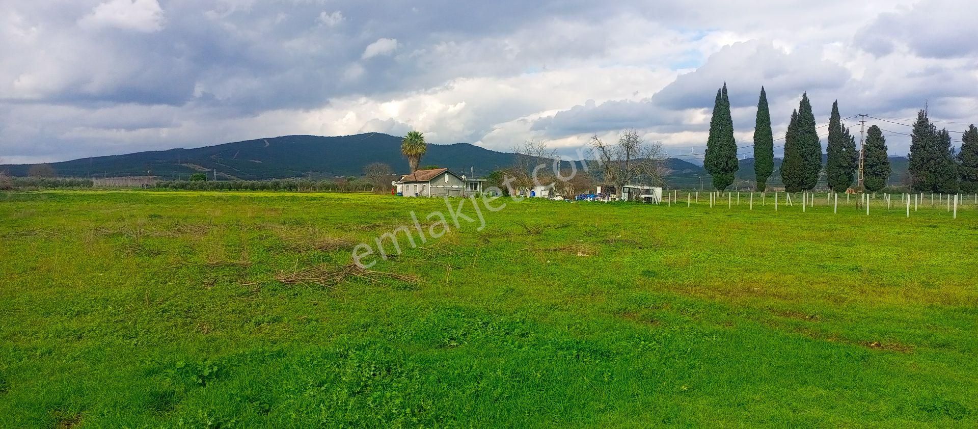 Torbalı Emlak'tan Yolu Olan Elektirkve Şebeke Suyu Yakın 5680m2 Arazimiz Satılıktır - Görsel 10