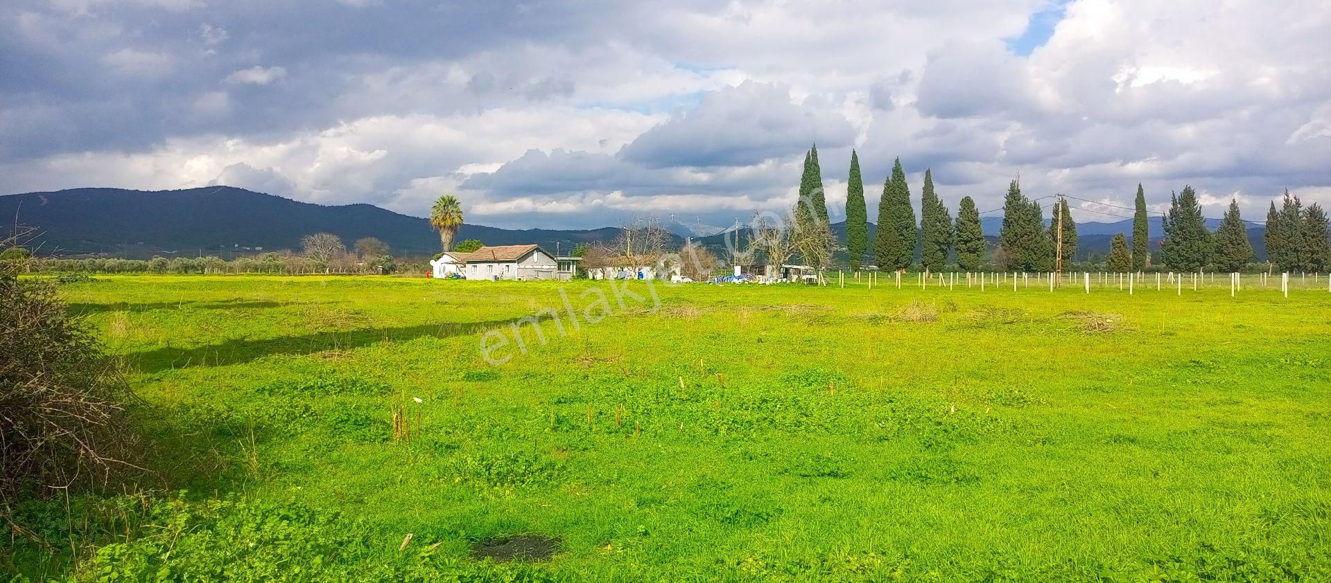 Torbalı Emlak'tan Yolu Olan Elektirkve Şebeke Suyu Yakın 5680m2 Arazimiz Satılıktır - Görsel 3