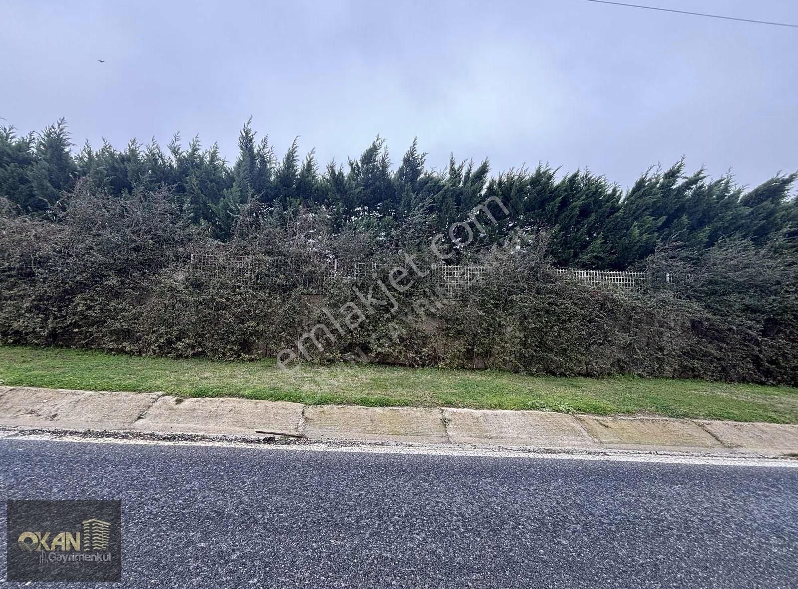 Fenerköy'de Satılık 483 M2 Yola Cephe Arsa - Görsel 2