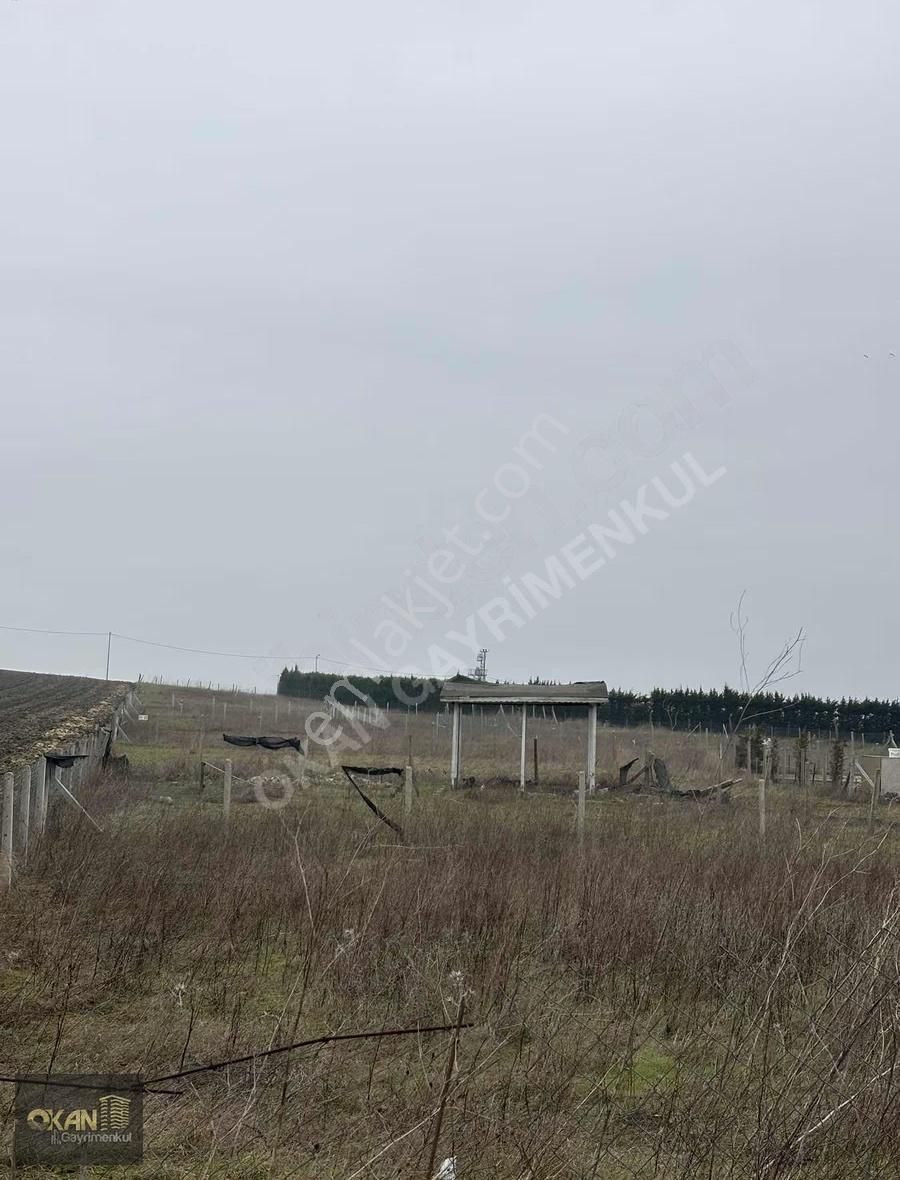 Fenerköy'de Satılık 483 M2 Yola Cephe Arsa - Görsel 4