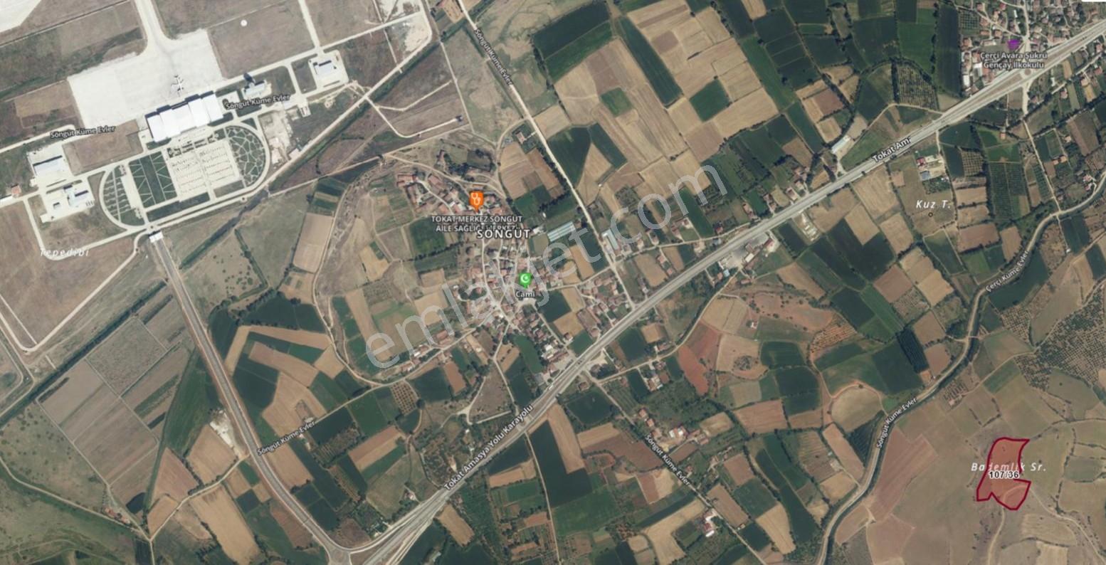 Tokat Merkez Gülpınar'da 15400m2 Müstakil Tapulu Takaslı Arazi - Görsel 2