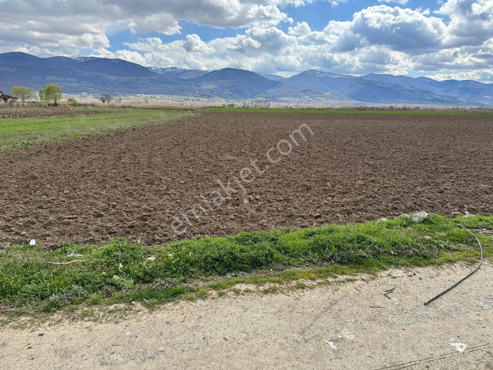 Dökmetepe'de Petrolün Arkasında 4320m2 Tek Tapulu Takasa Açık - Görsel 6