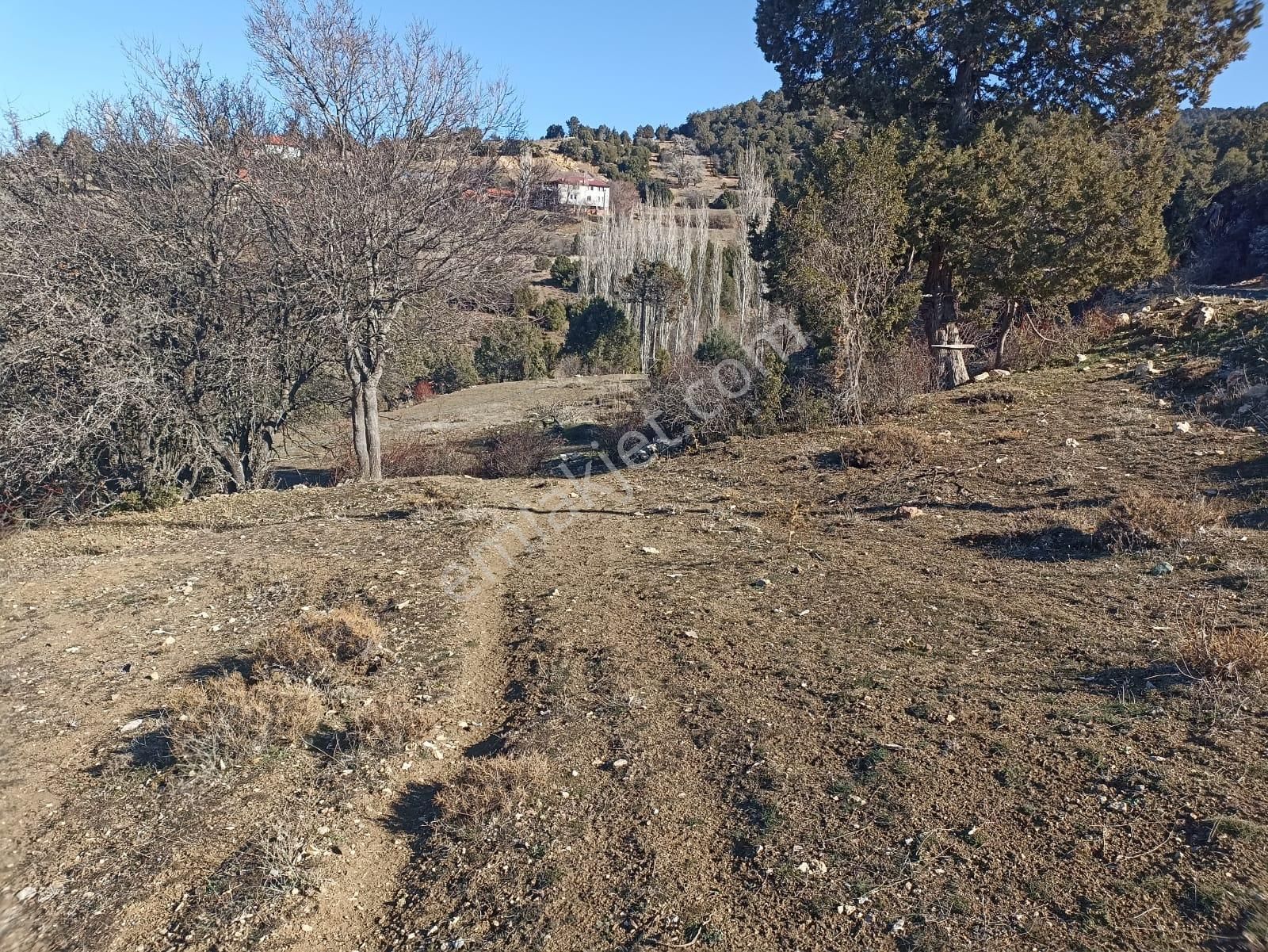 Muğla Seydikemer Boğalar Mah. Mükemmel Arazi Satışta 1952 M2 - Görsel 5
