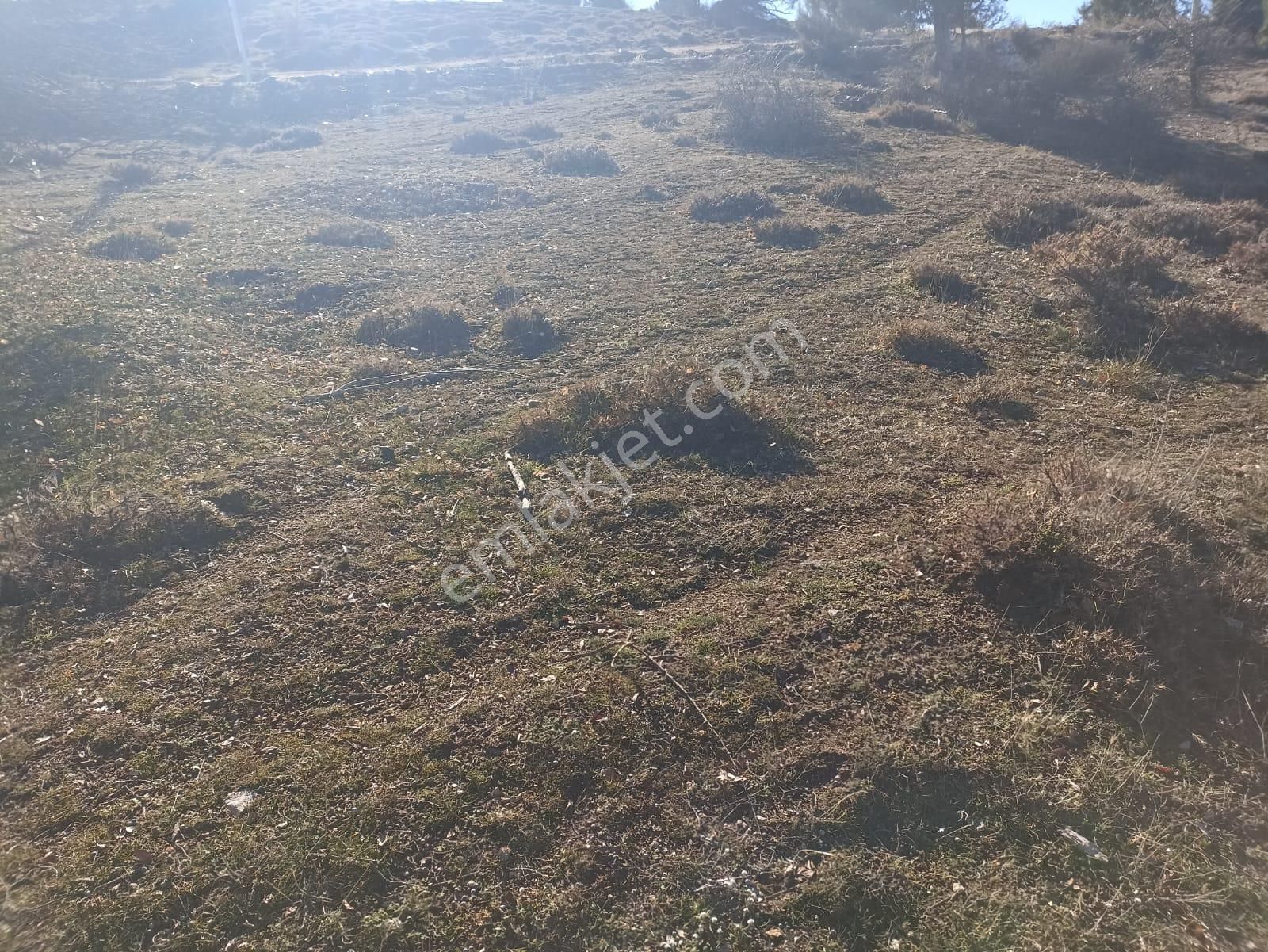 Muğla Seydikemer Boğalar Mah. Mükemmel Arazi Satışta 1952 M2 - Görsel 14