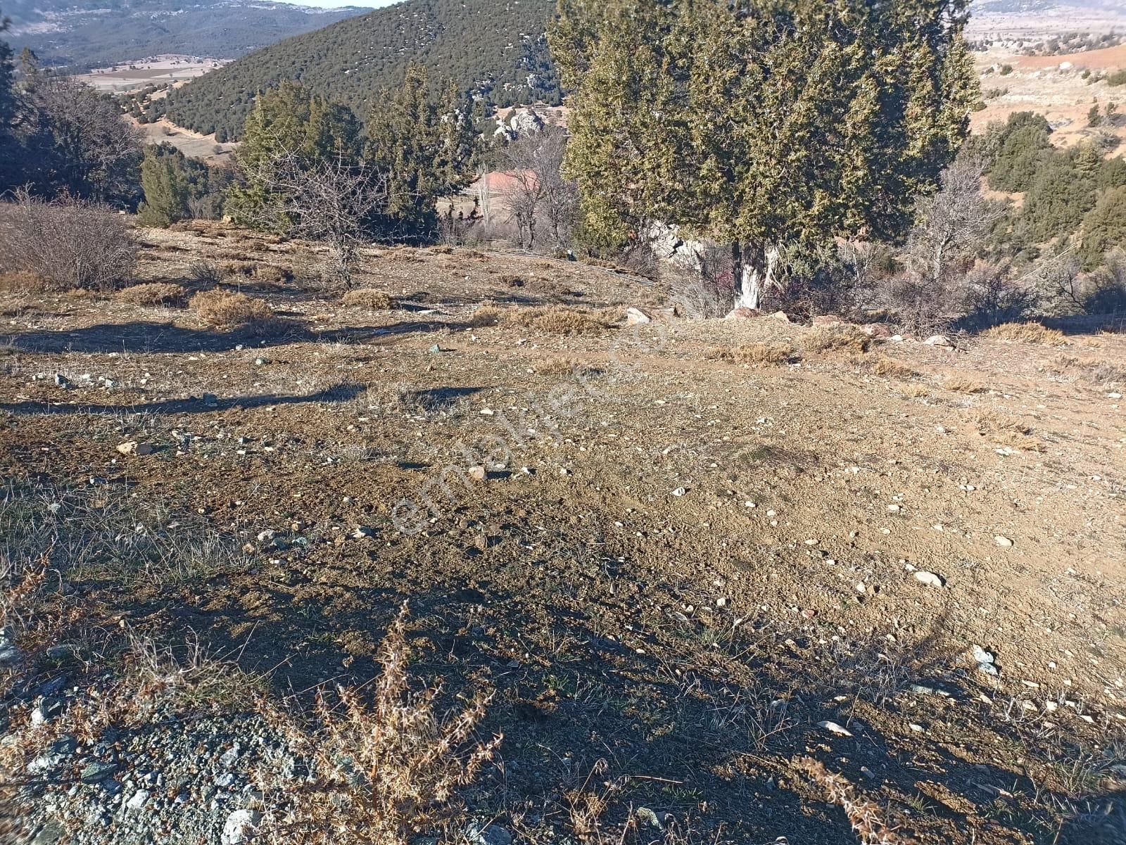 Muğla Seydikemer Boğalar Mah. Mükemmel Arazi Satışta 1952 M2 - Görsel 2