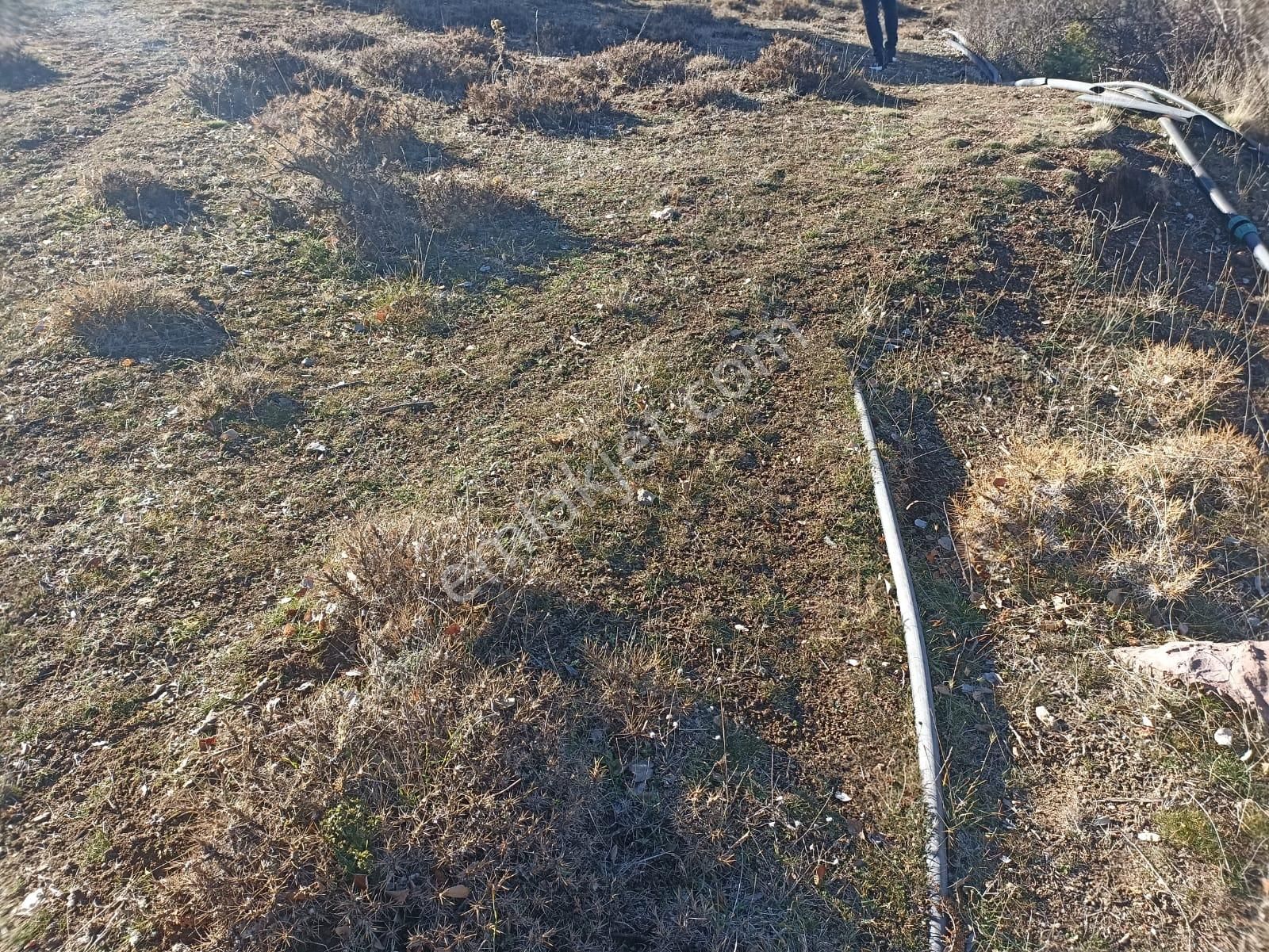 Muğla Seydikemer Boğalar Mah. Mükemmel Arazi Satışta 1952 M2 - Görsel 16