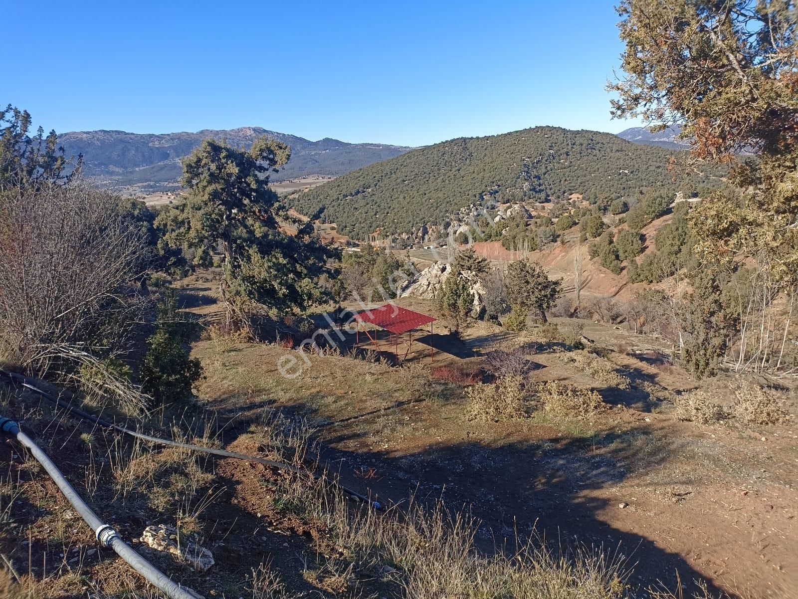 Muğla Seydikemer Boğalar Mah. Mükemmel Arazi Satışta 1952 M2 - Görsel 11