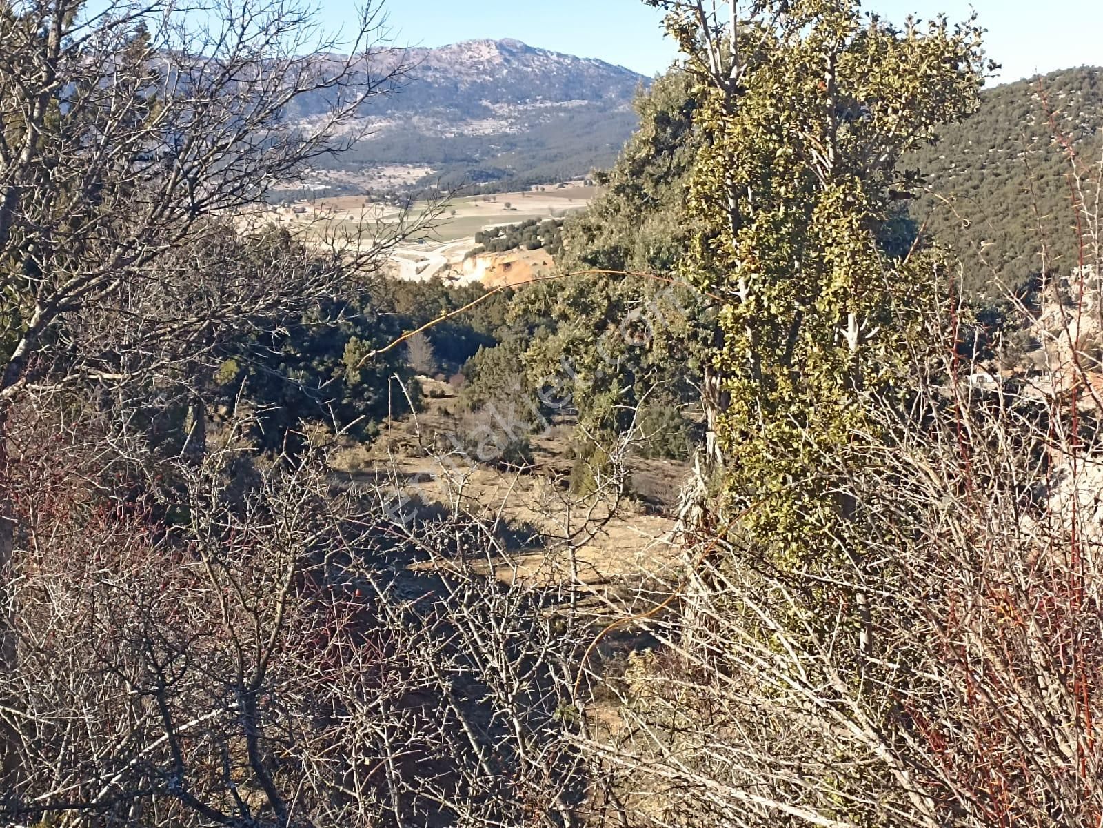 Muğla Seydikemer Boğalar Mah. Mükemmel Arazi Satışta 1952 M2 - Görsel 10