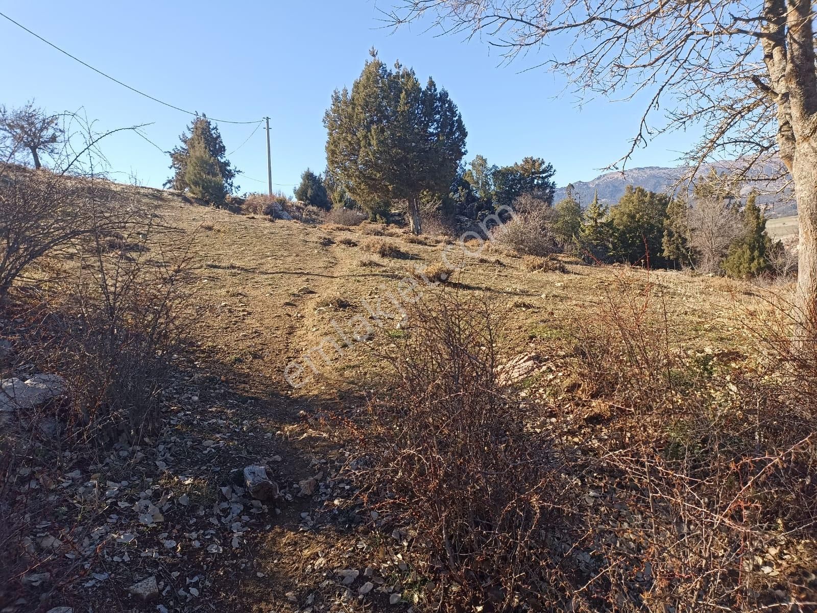 Muğla Seydikemer Boğalar Mah. Mükemmel Arazi Satışta 1952 M2 - Görsel 18