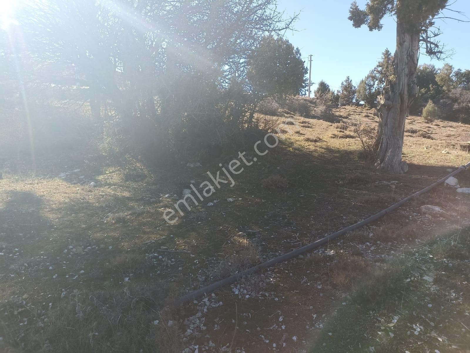 Muğla Seydikemer Boğalar Mah. Mükemmel Arazi Satışta 1952 M2 - Görsel 19