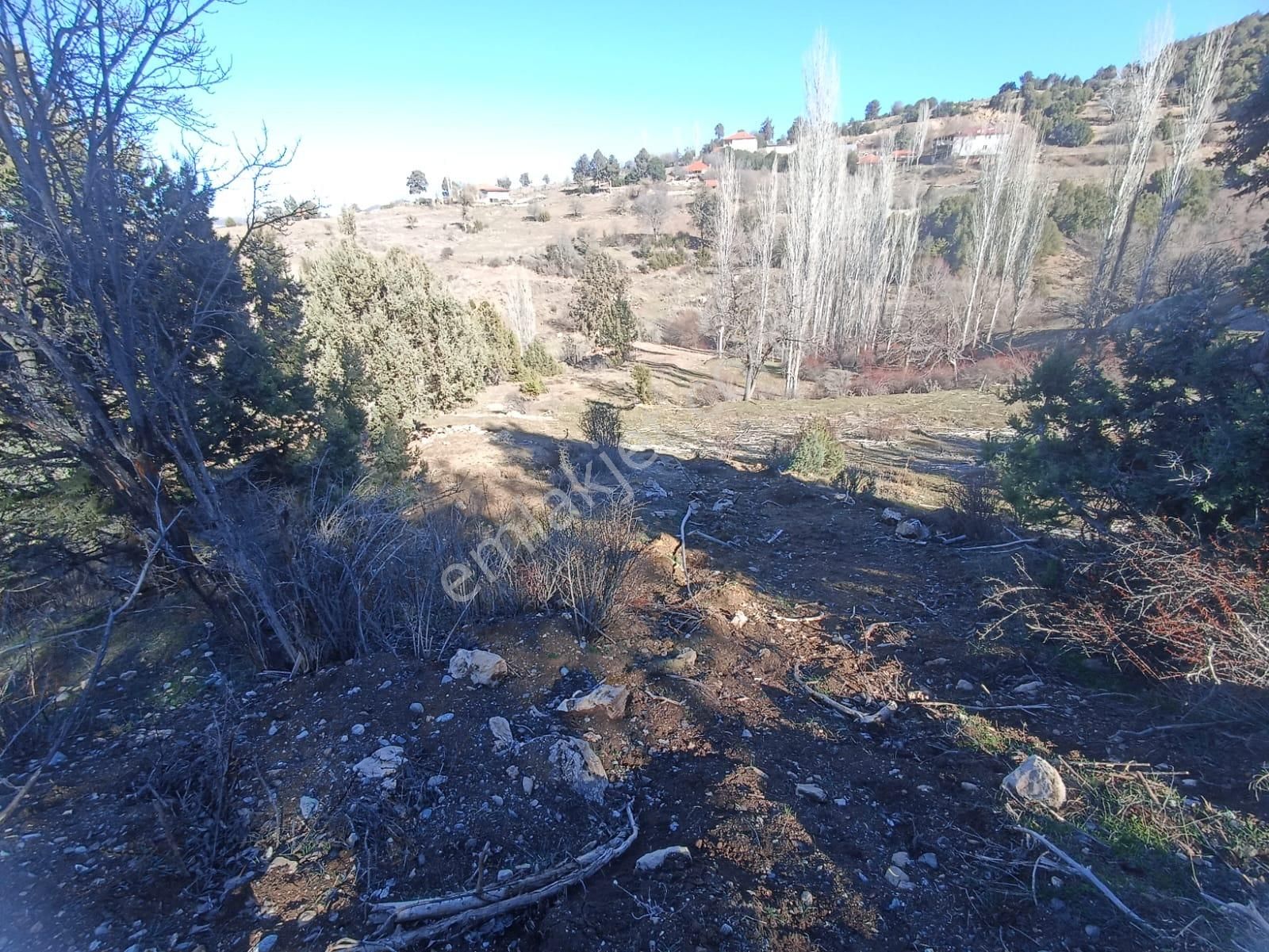 Muğla Seydikemer Boğalar Mah. Mükemmel Arazi Satışta 1952 M2 - Görsel 24