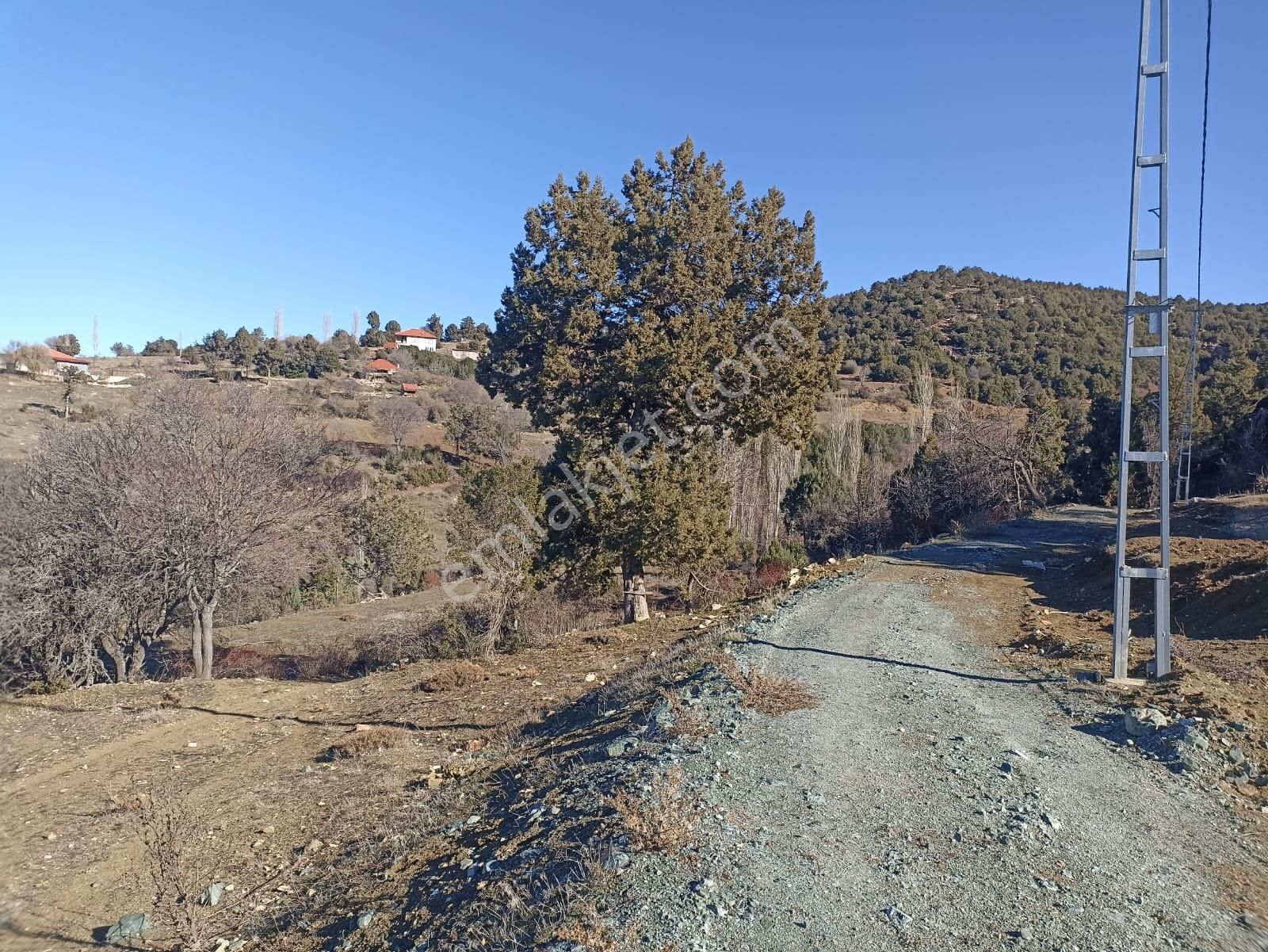 Muğla Seydikemer Boğalar Mah. Mükemmel Arazi Satışta 1952 M2 - Görsel 3
