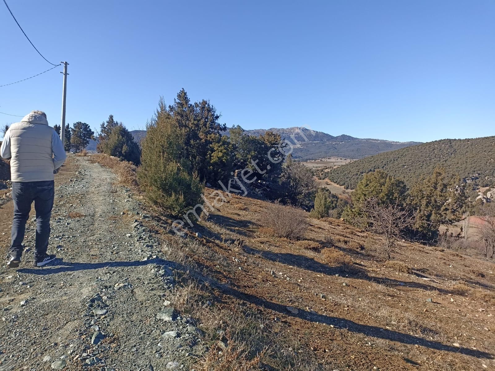 Muğla Seydikemer Boğalar Mah. Mükemmel Arazi Satışta 1952 M2