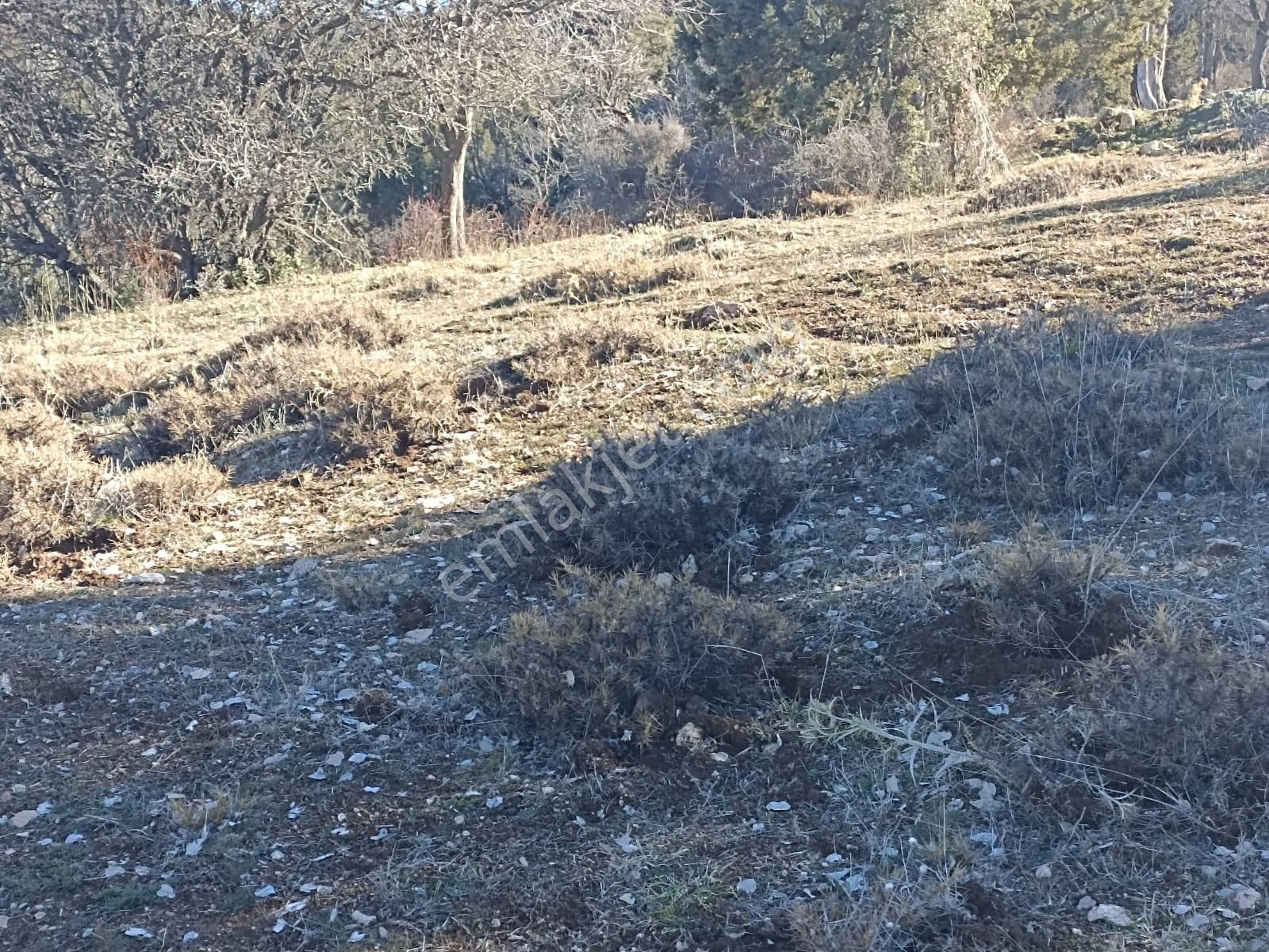 Muğla Seydikemer Boğalar Mah. Mükemmel Arazi Satışta 1952 M2 - Görsel 8