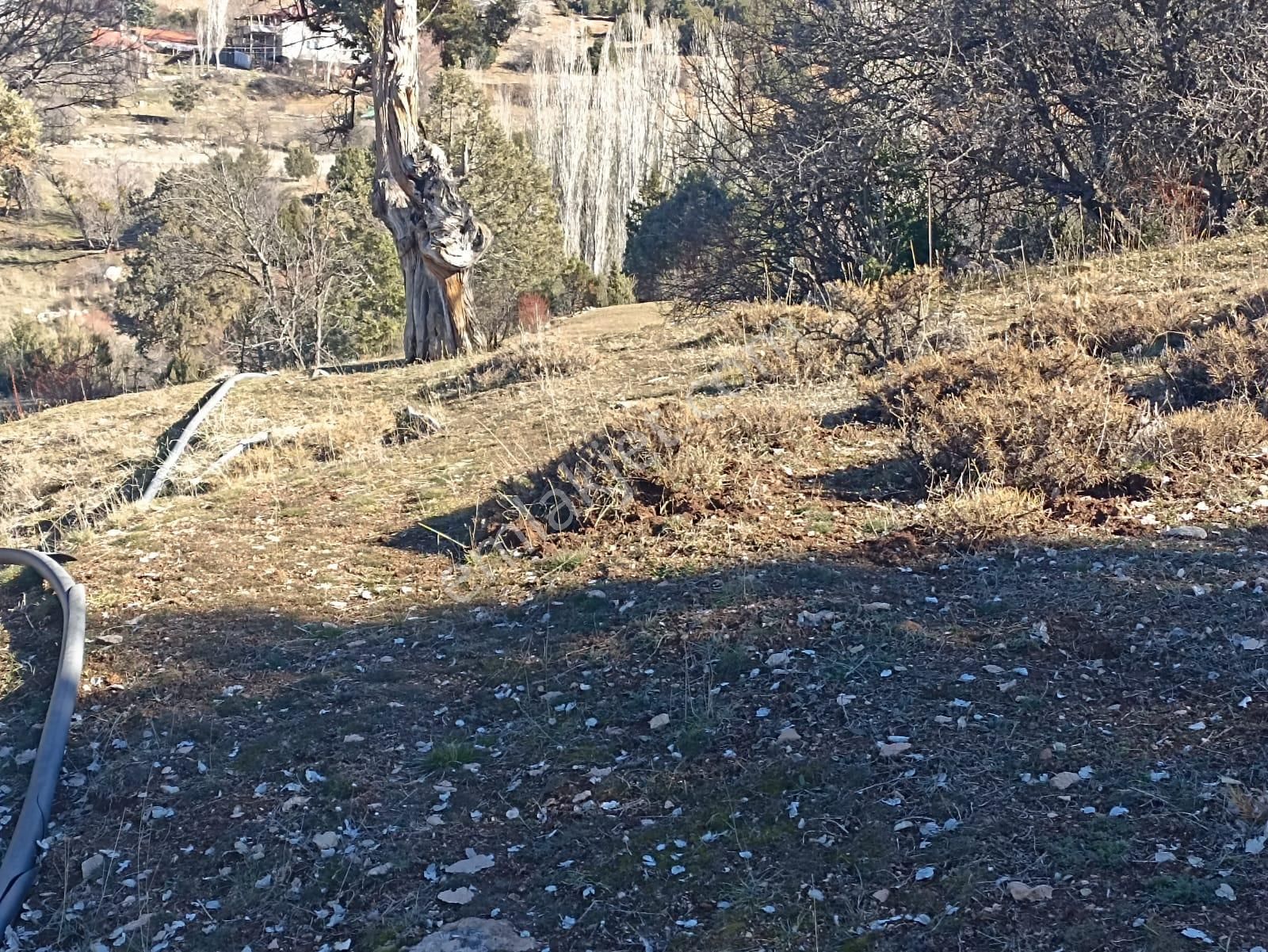 Muğla Seydikemer Boğalar Mah. Mükemmel Arazi Satışta 1952 M2 - Görsel 7