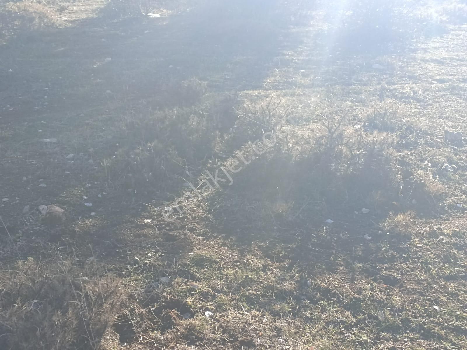 Muğla Seydikemer Boğalar Mah. Mükemmel Arazi Satışta 1952 M2 - Görsel 13
