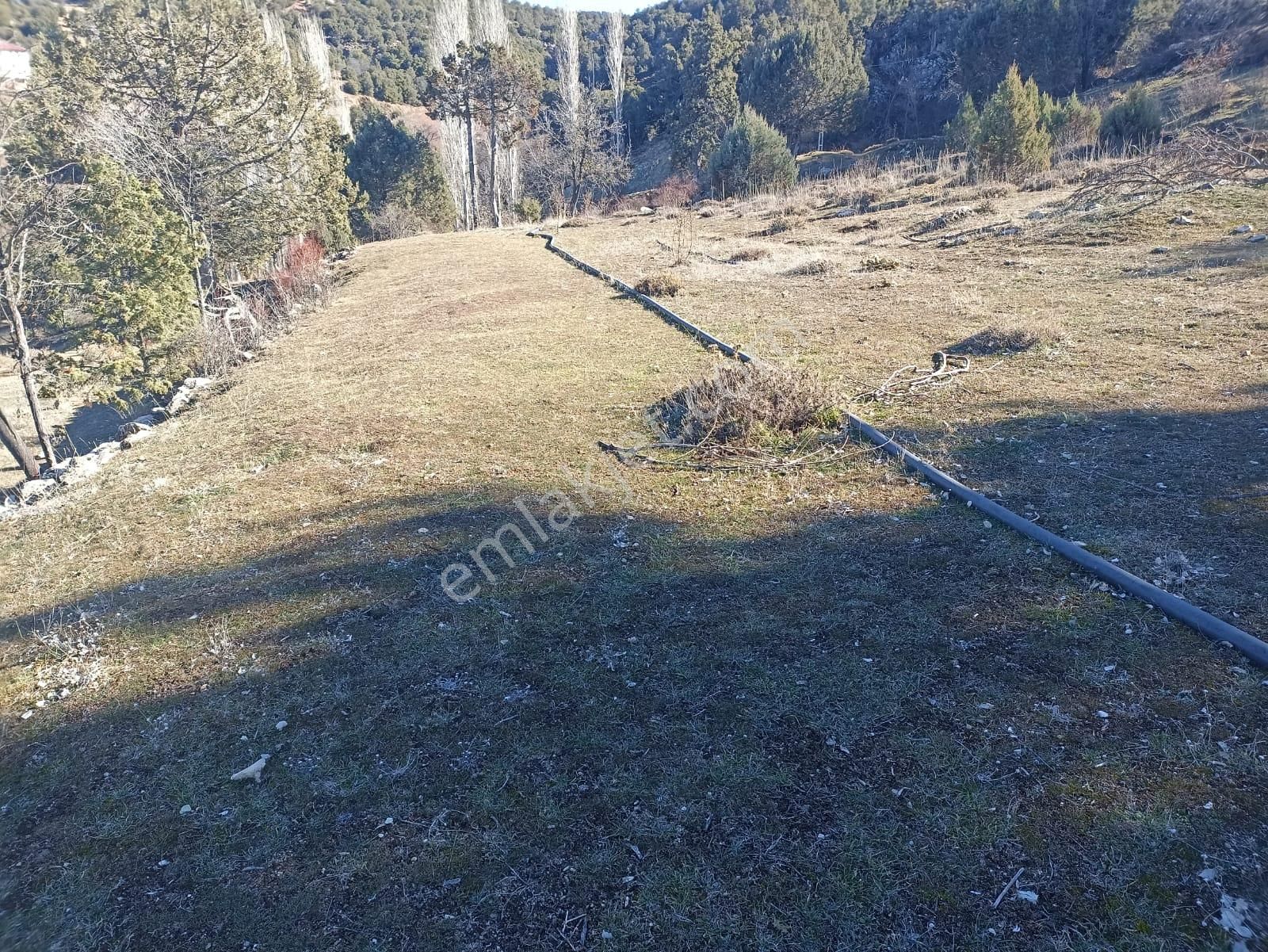 Muğla Seydikemer Boğalar Mah. Mükemmel Arazi Satışta 1952 M2 - Görsel 17