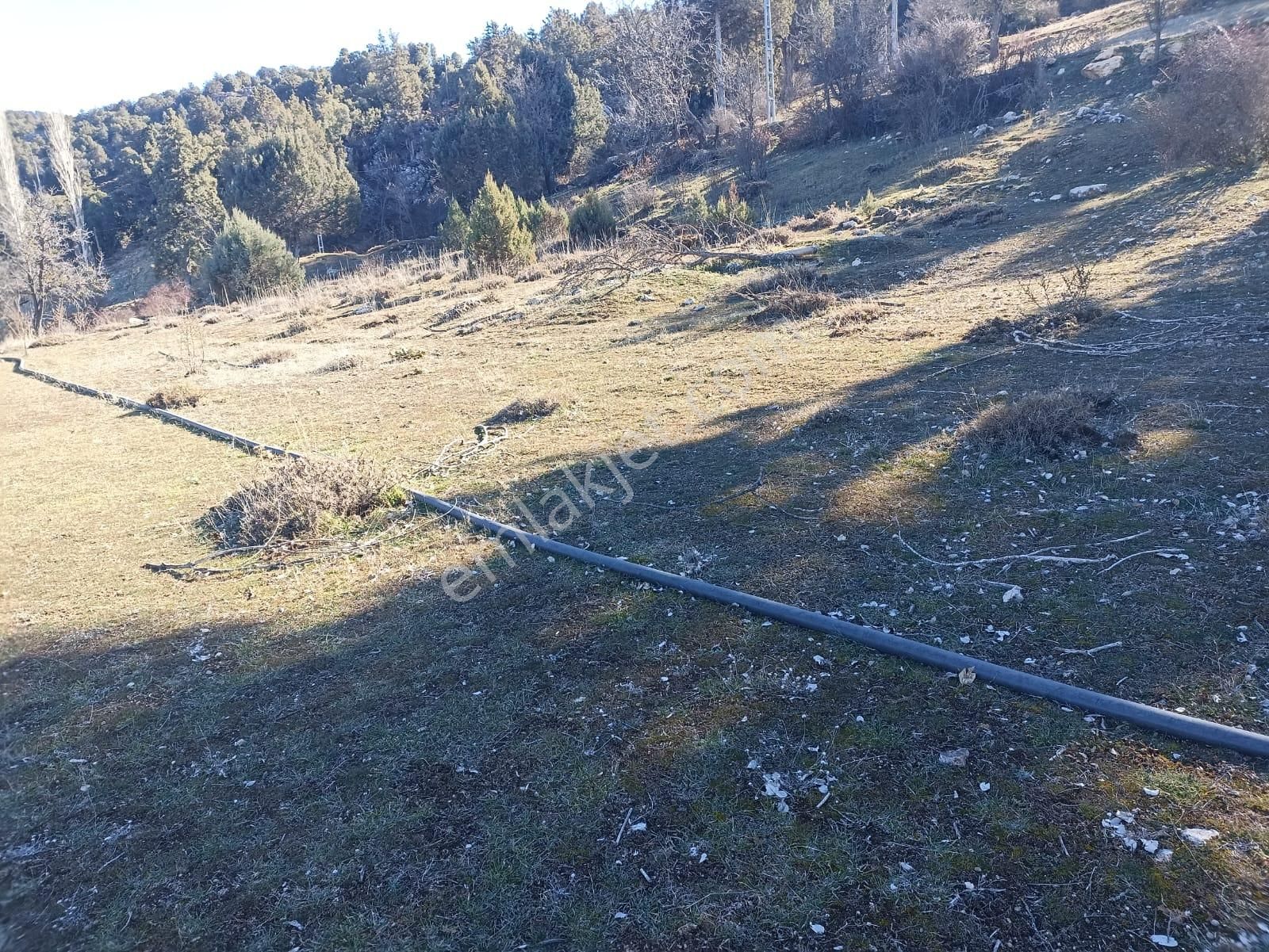 Muğla Seydikemer Boğalar Mah. Mükemmel Arazi Satışta 1952 M2 - Görsel 15