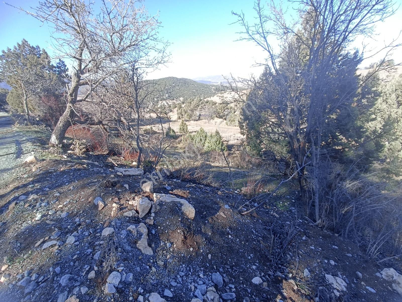 Muğla Seydikemer Boğalar Mah. Mükemmel Arazi Satışta 1952 M2 - Görsel 22
