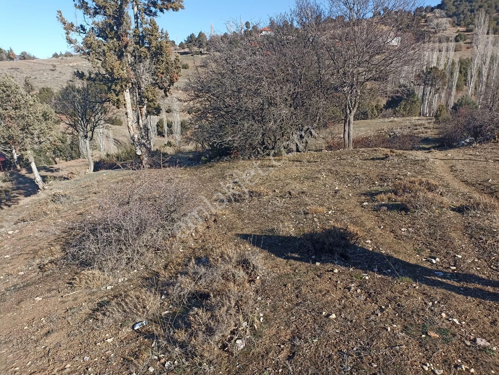 Muğla Seydikemer Boğalar Mah. Mükemmel Arazi Satışta 1952 M2 - Görsel 9