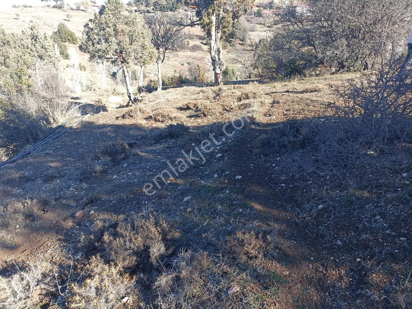Muğla Seydikemer Boğalar Mah. Mükemmel Arazi Satışta 1952 M2 - Görsel 6