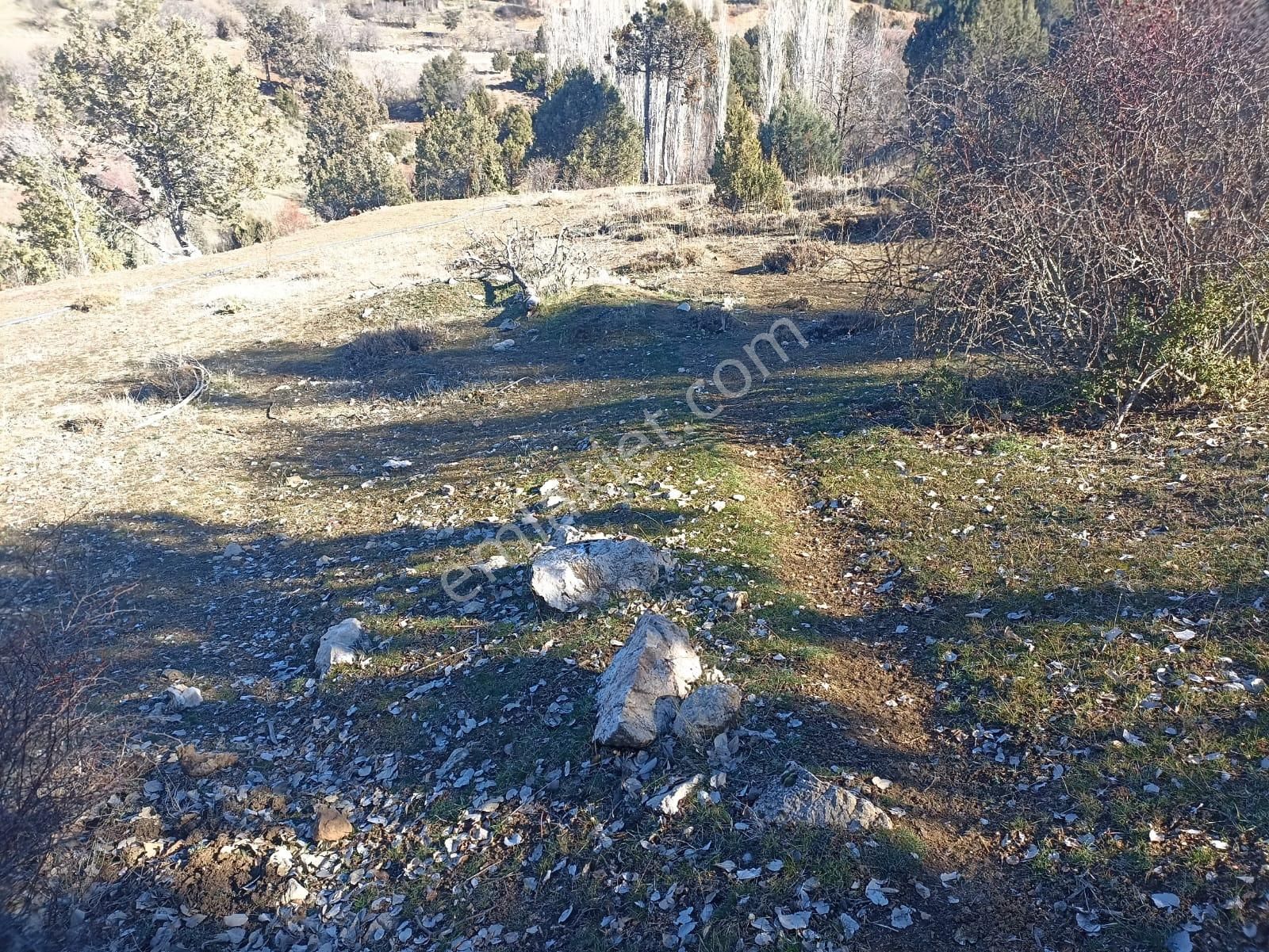 Muğla Seydikemer Boğalar Mah. Mükemmel Arazi Satışta 1952 M2 - Görsel 20