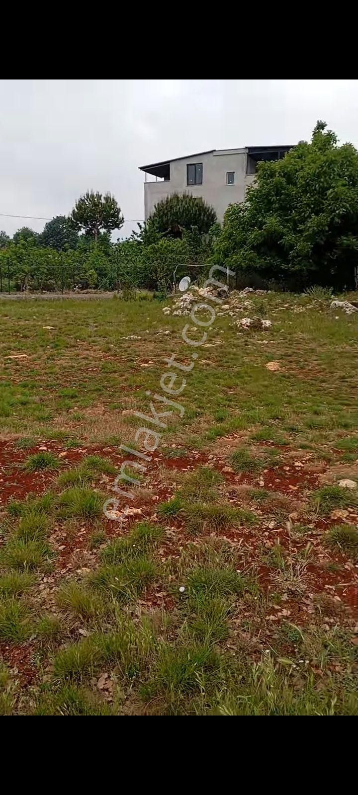 Erdemli Aslanlı Mahallesi’nde 938 M² Hisse Tapulu Tarla